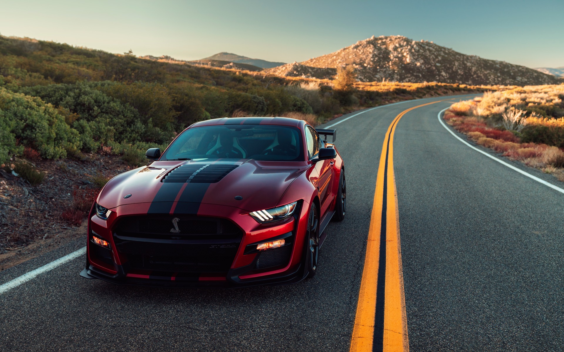 Une Ford Mustang Shelby GT500 découpée en morceaux pour la science - Guide  Auto