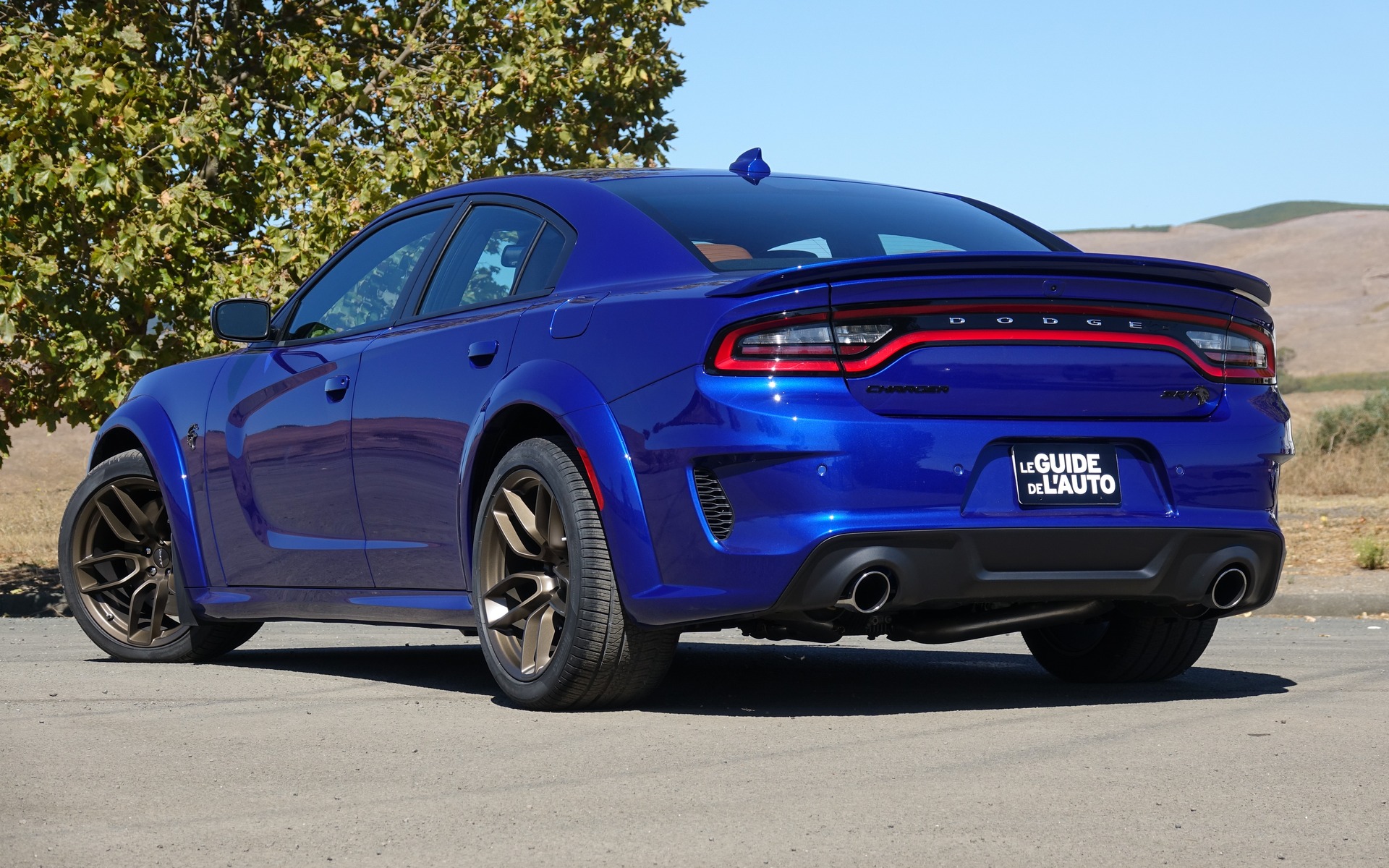 <p>Dodge Charger Hellcat Widebody 2020</p>