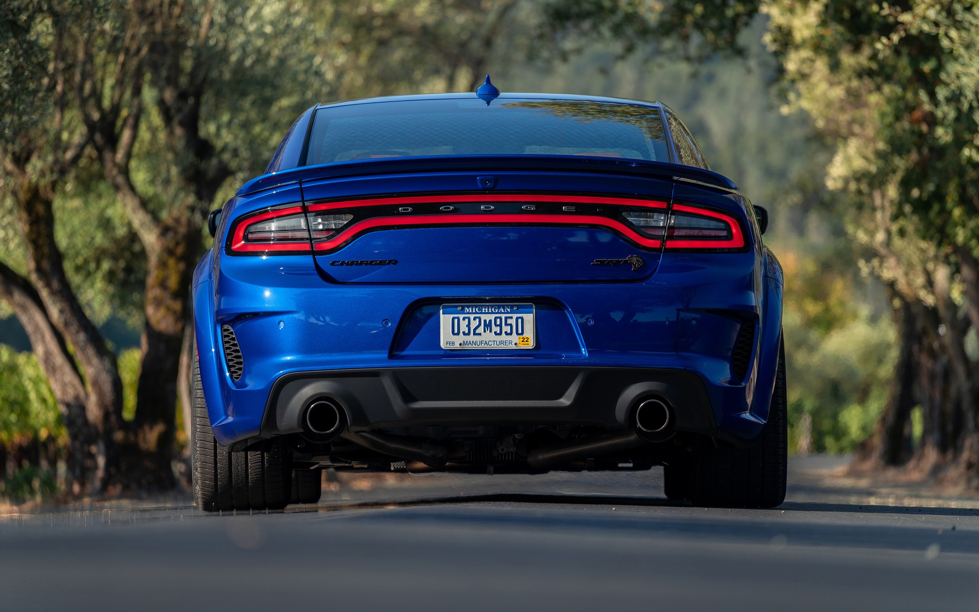 <p>Dodge Charger Hellcat Widebody 2020</p>