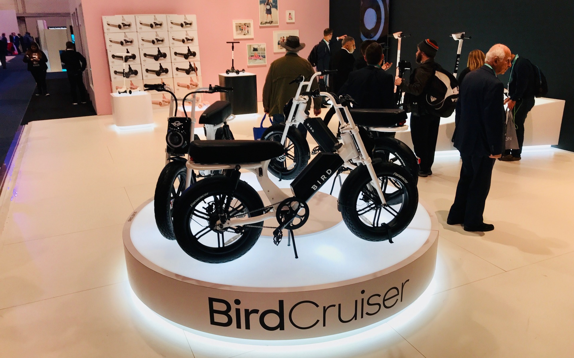 <p>Bird Cruiser</p>