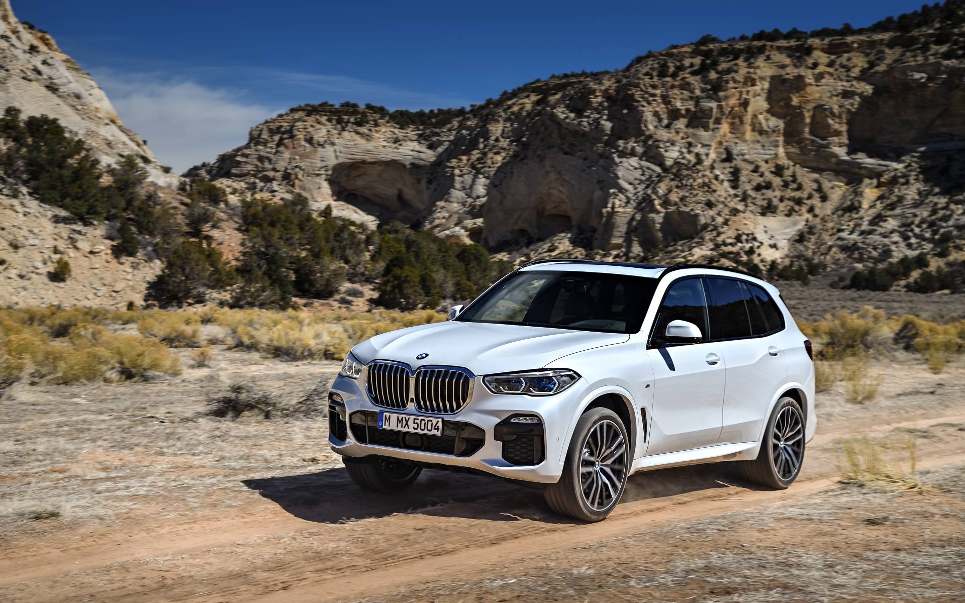 BMW X5 2024: luxueux et compétent sur