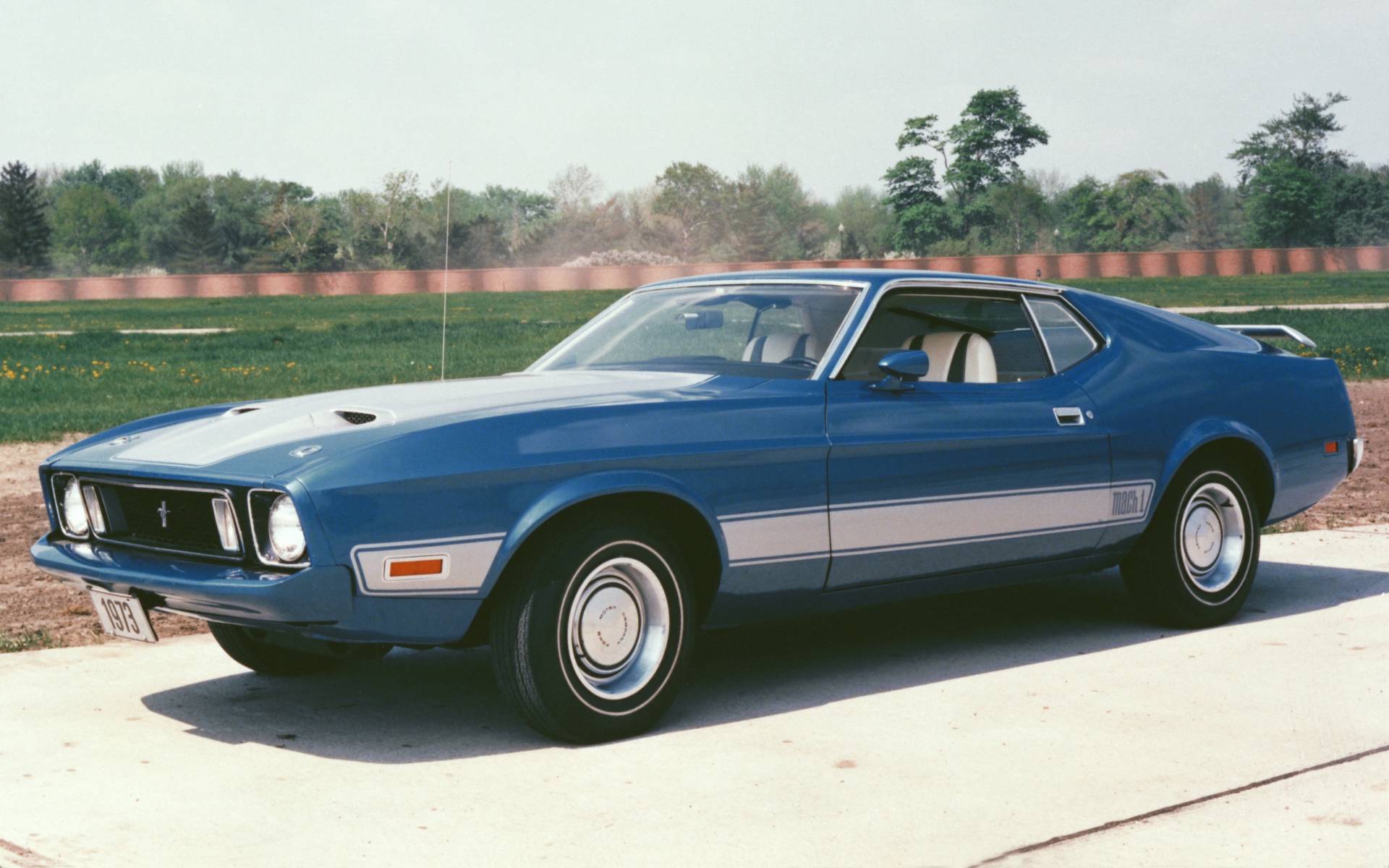 <p>Ford Mustang Mach 1&nbsp;1973</p>