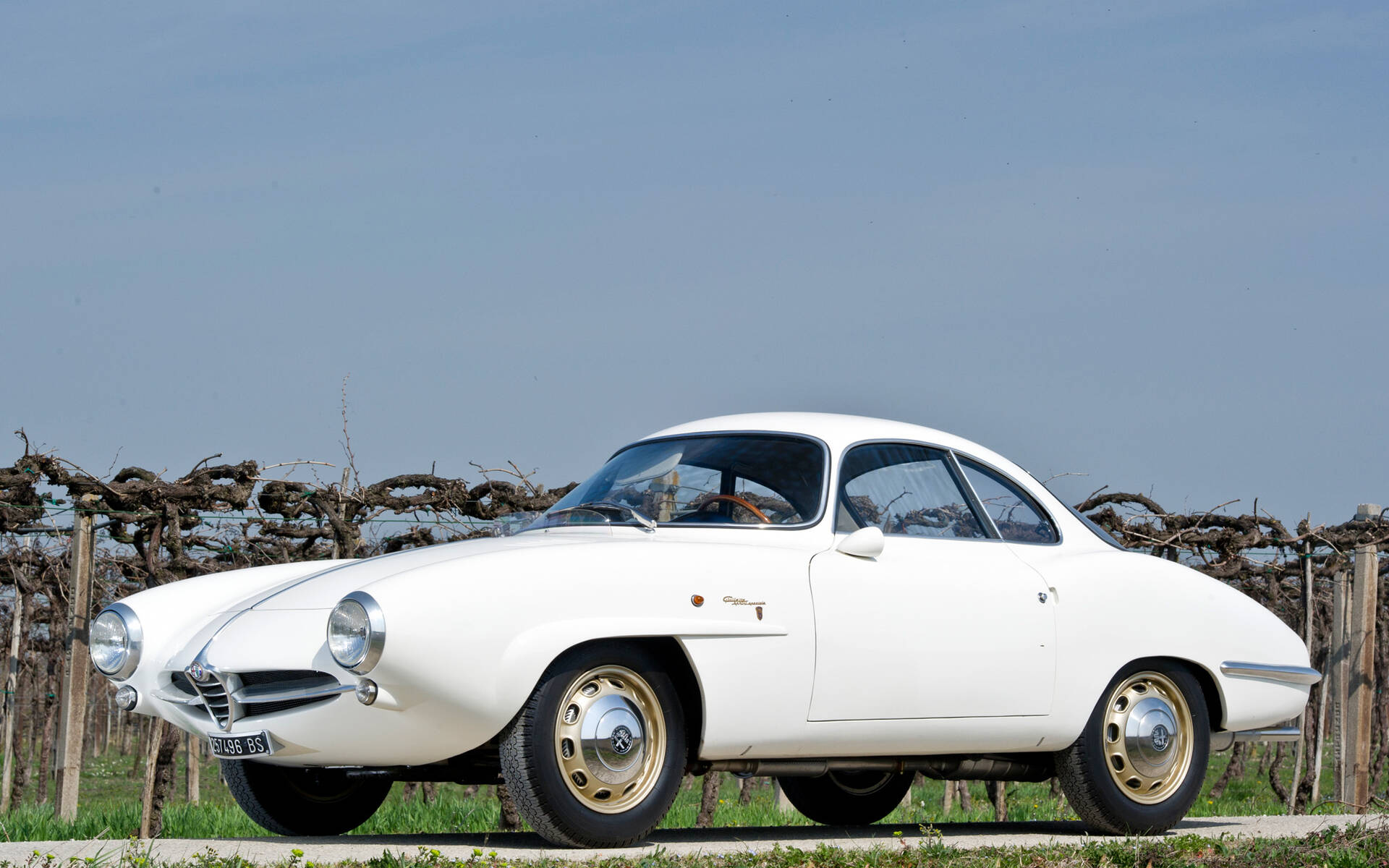 <p>1959 Alfa Romeo Giulietta Sprint Speciale</p>