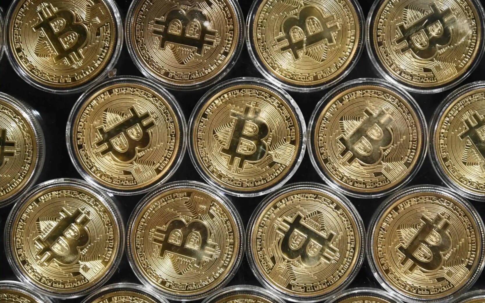 Bitcoin Pièce de monnaie – Mimosa Québec