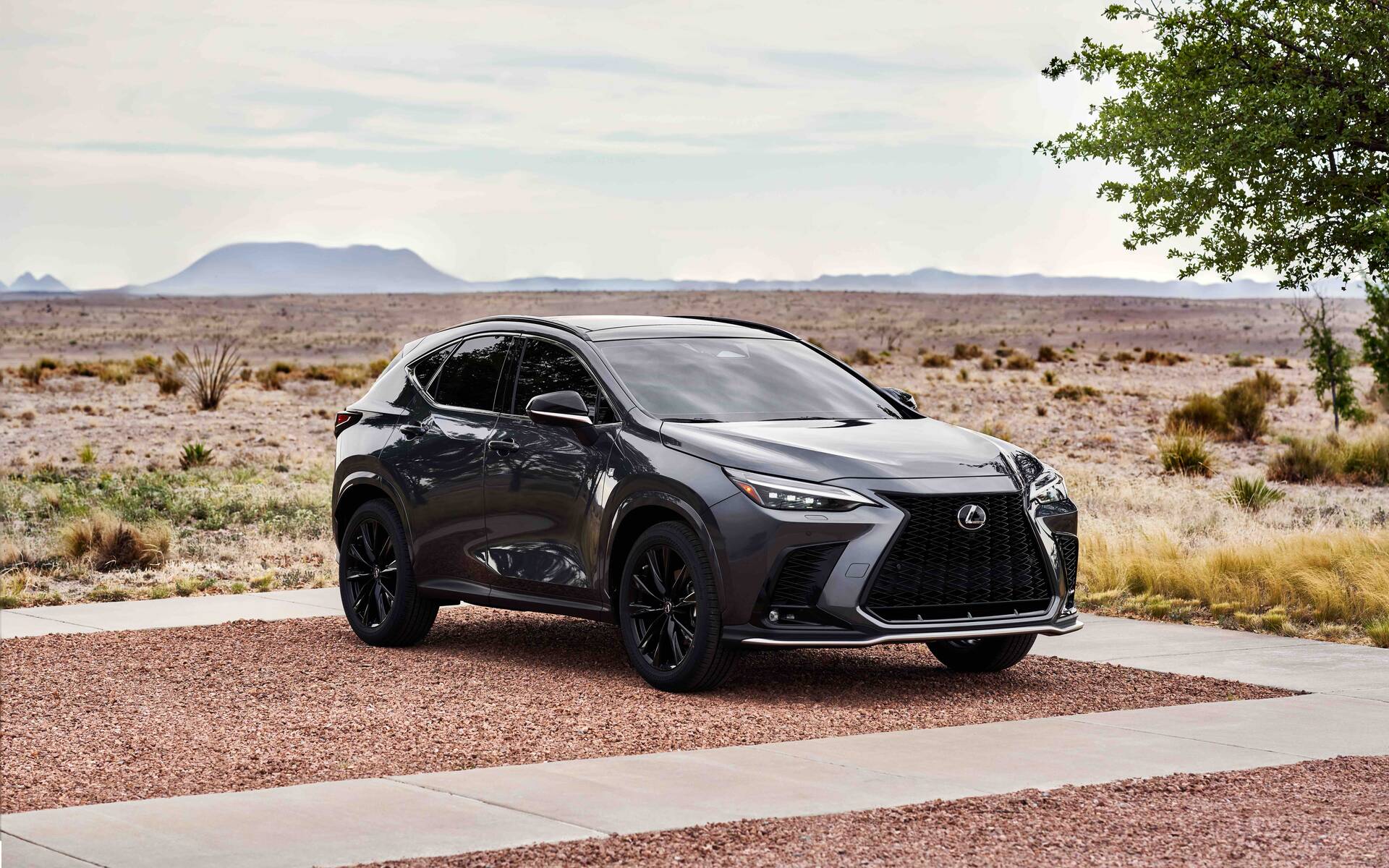 2022 Lexus NX F Sport