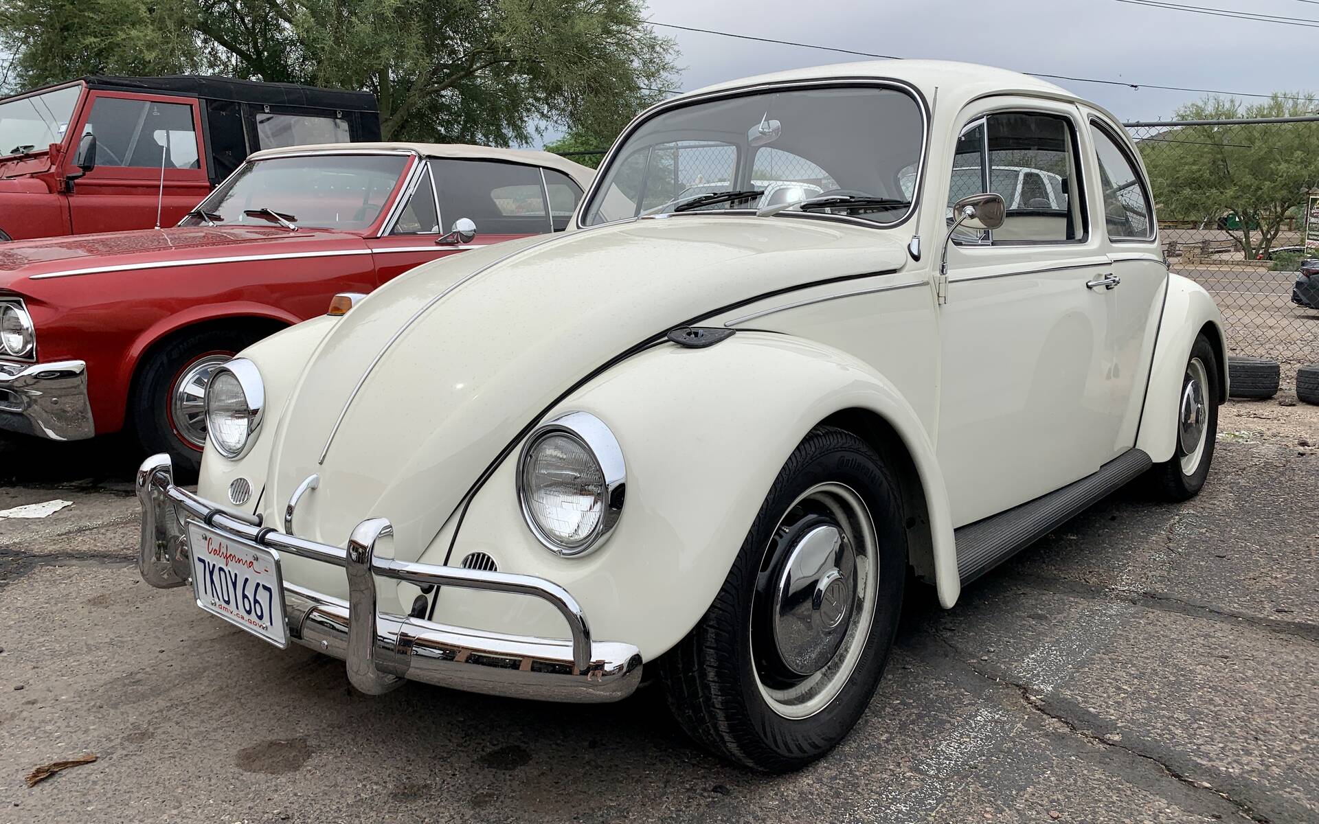 <p><strong>Volkswagen Beetle</strong></p>