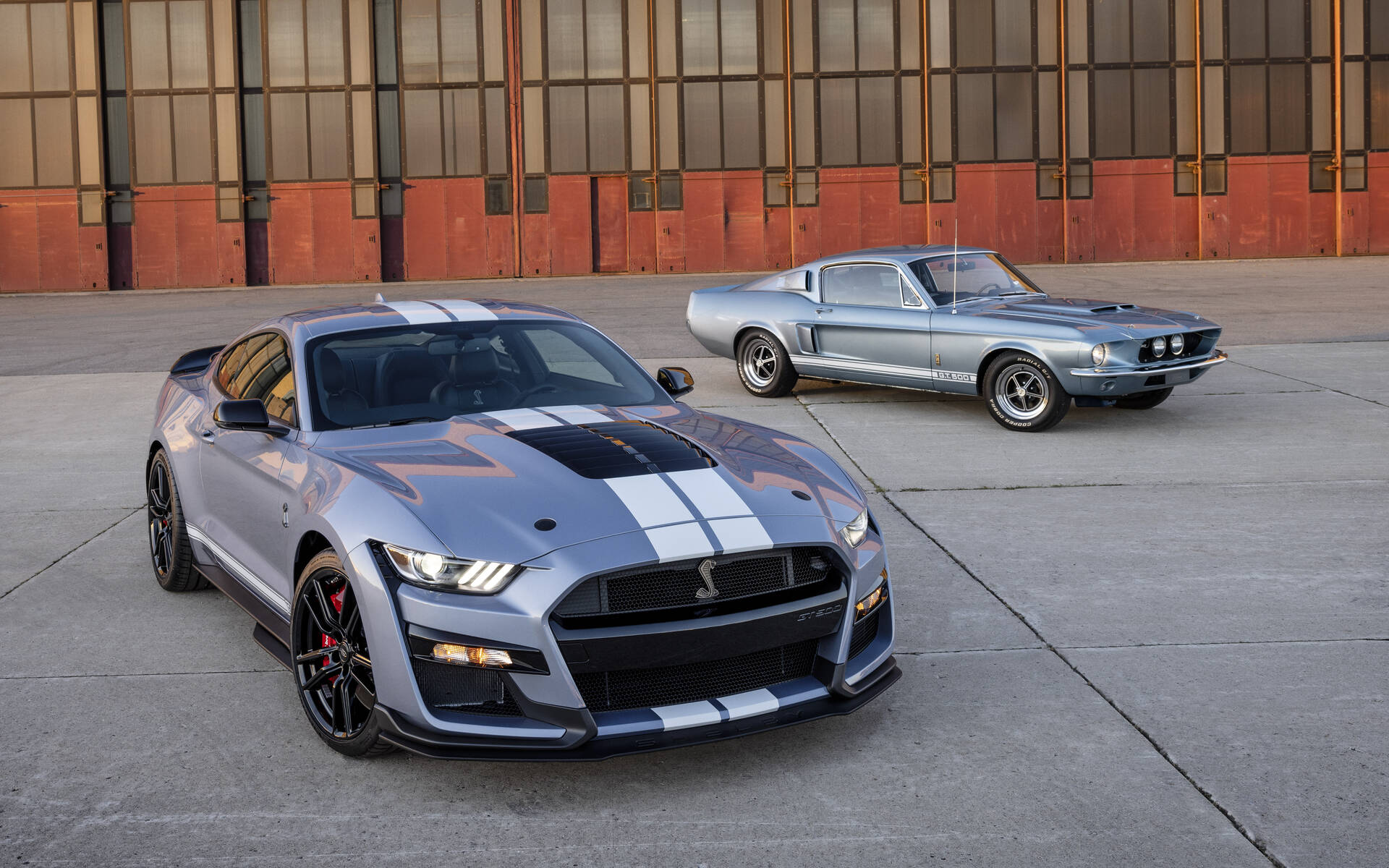 Ford Mustang Shelby GT500 : une édition Heritage pour ses 55 ans - Guide  Auto