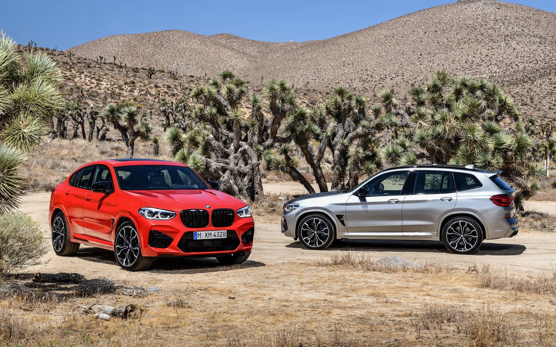 <p>BMW X4 and X3 (2020)</p>