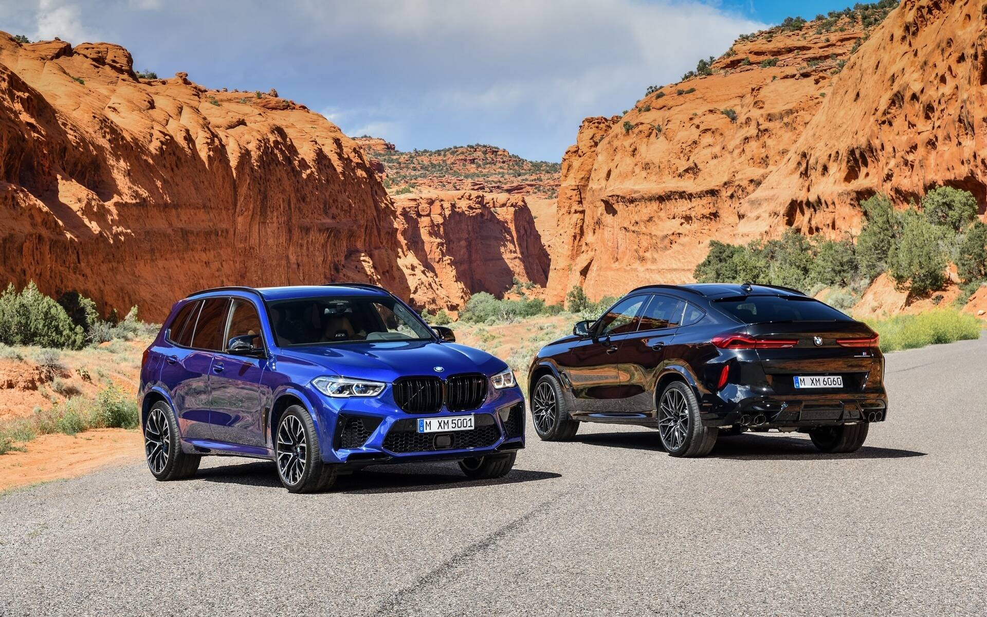 <p>BMW X5 and X6 (2020)</p>