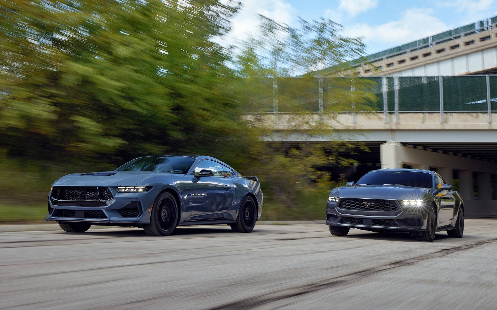 <p>Ford Mustang GT et Mustang 2024</p>
