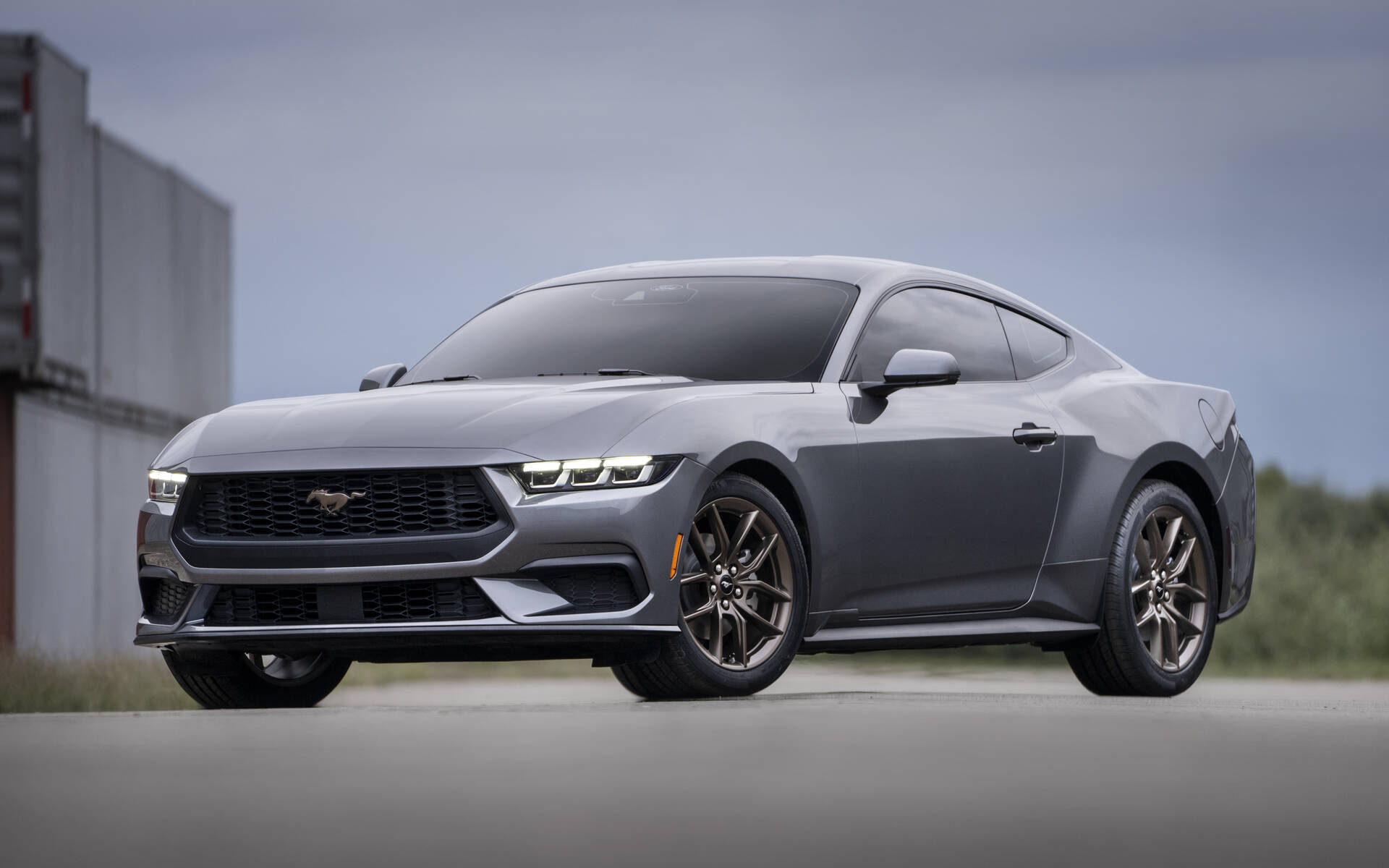 <p>2024 Ford Mustang</p>