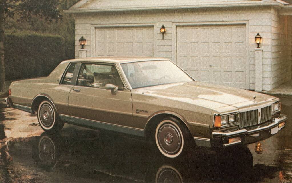 <p>La version coupé est maintenue pour 1982.</p>