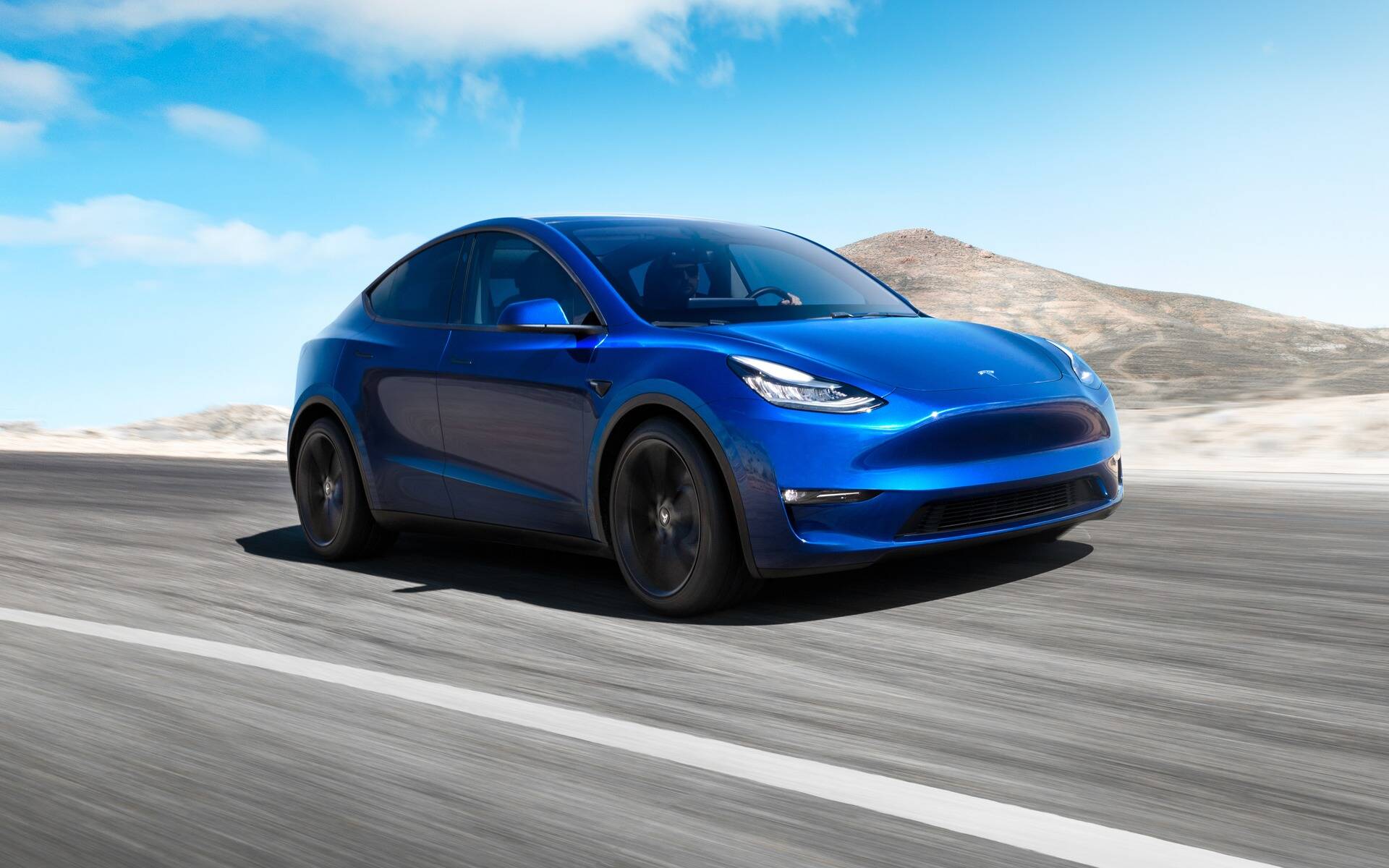 <p>Tesla Model Y</p>