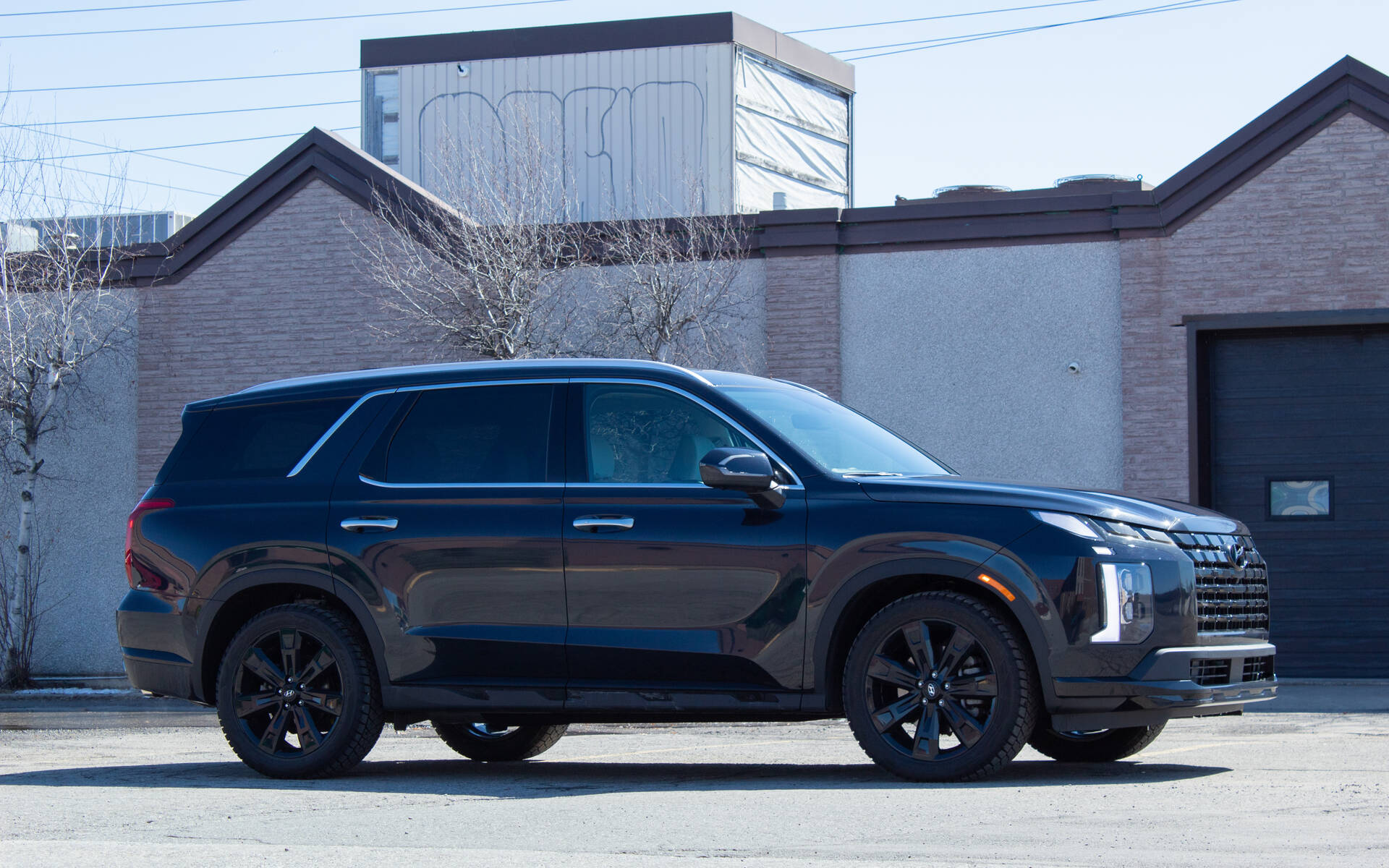 Hyundai Palisade With Hybrid Tech Reportedly Coming in 2025 The Car Guide