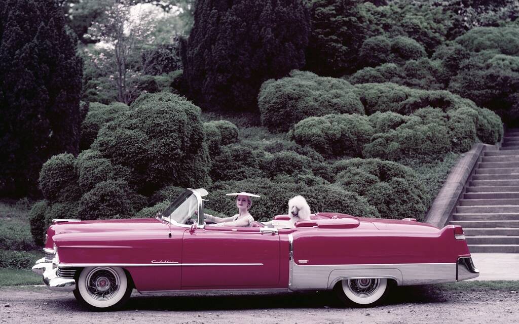 <p>Cadillac Eldorado 1954</p>