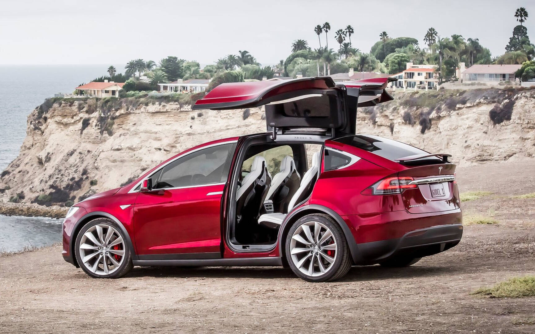 <p>Tesla Model X</p>