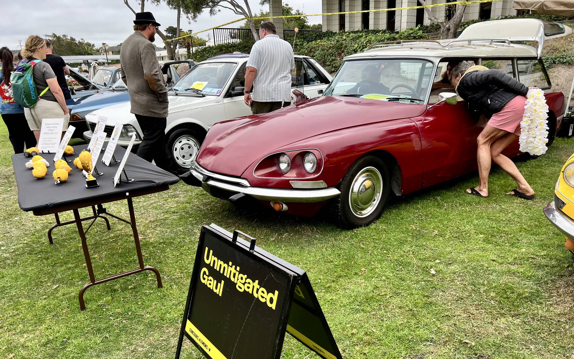 <p>Citroën DS 21 and Peugeot 505</p>