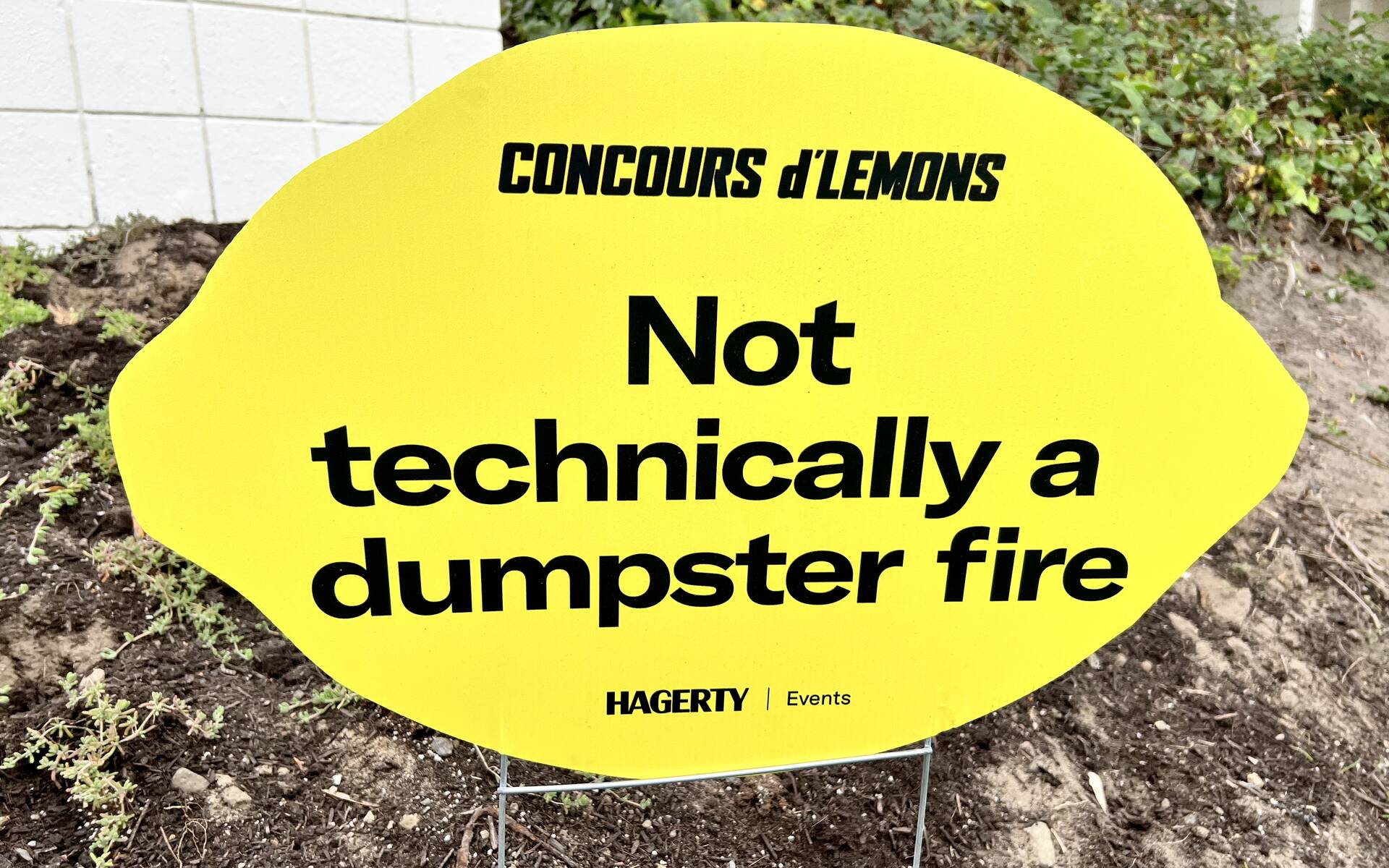 <p>2023 Concours D'Lemons</p>