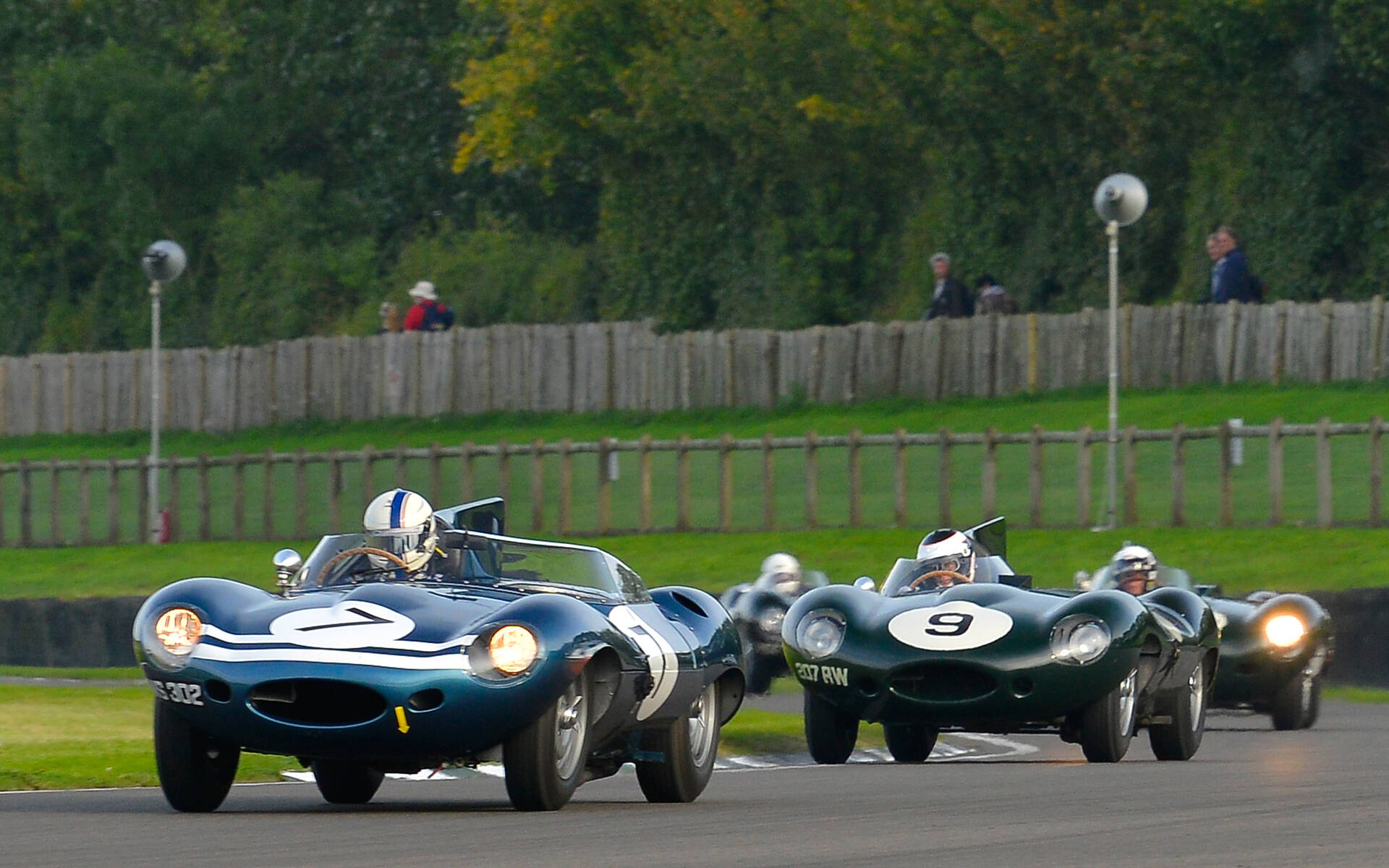 <p>Des Jaguar D-Type en course au circuit de Goodwood en Angleterre</p>