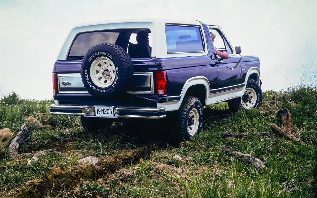 <p>Ford Bronco 1984</p>