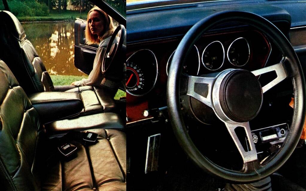 <p>Dodge Charger 1971</p>