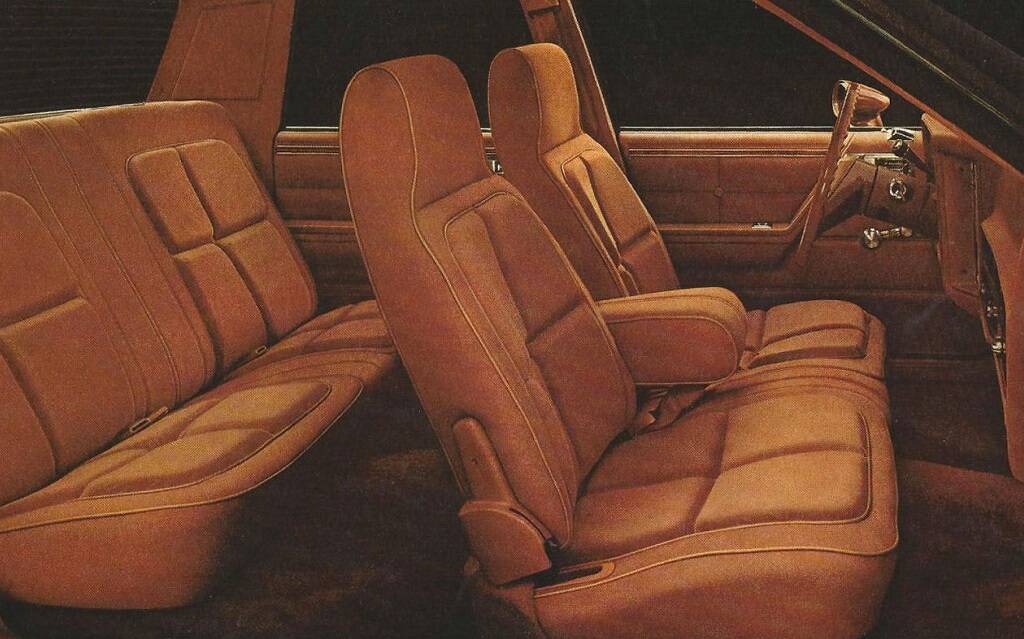 <p>Oldsmobile Omega 1980</p>