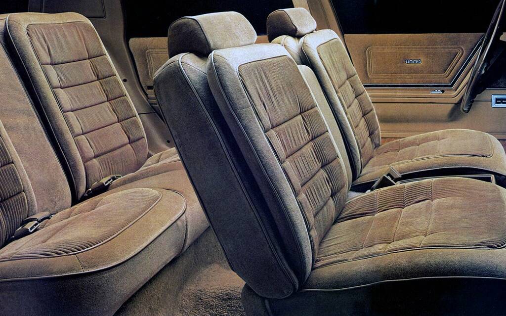 <p>Buick Skylark 1984</p>