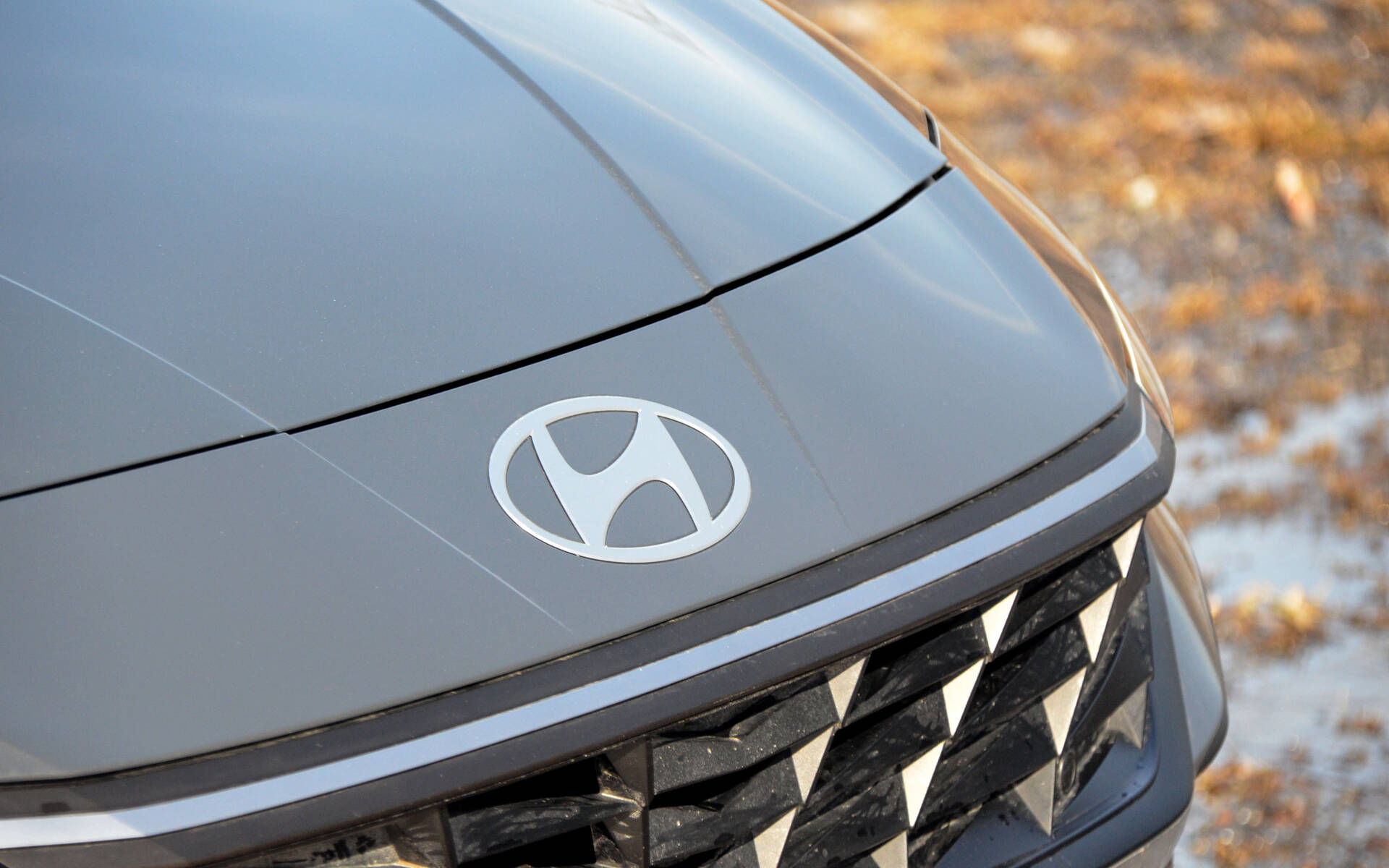 <p>Hyundai Elantra Preferred (avec l'ensemble Tech) 2024</p>