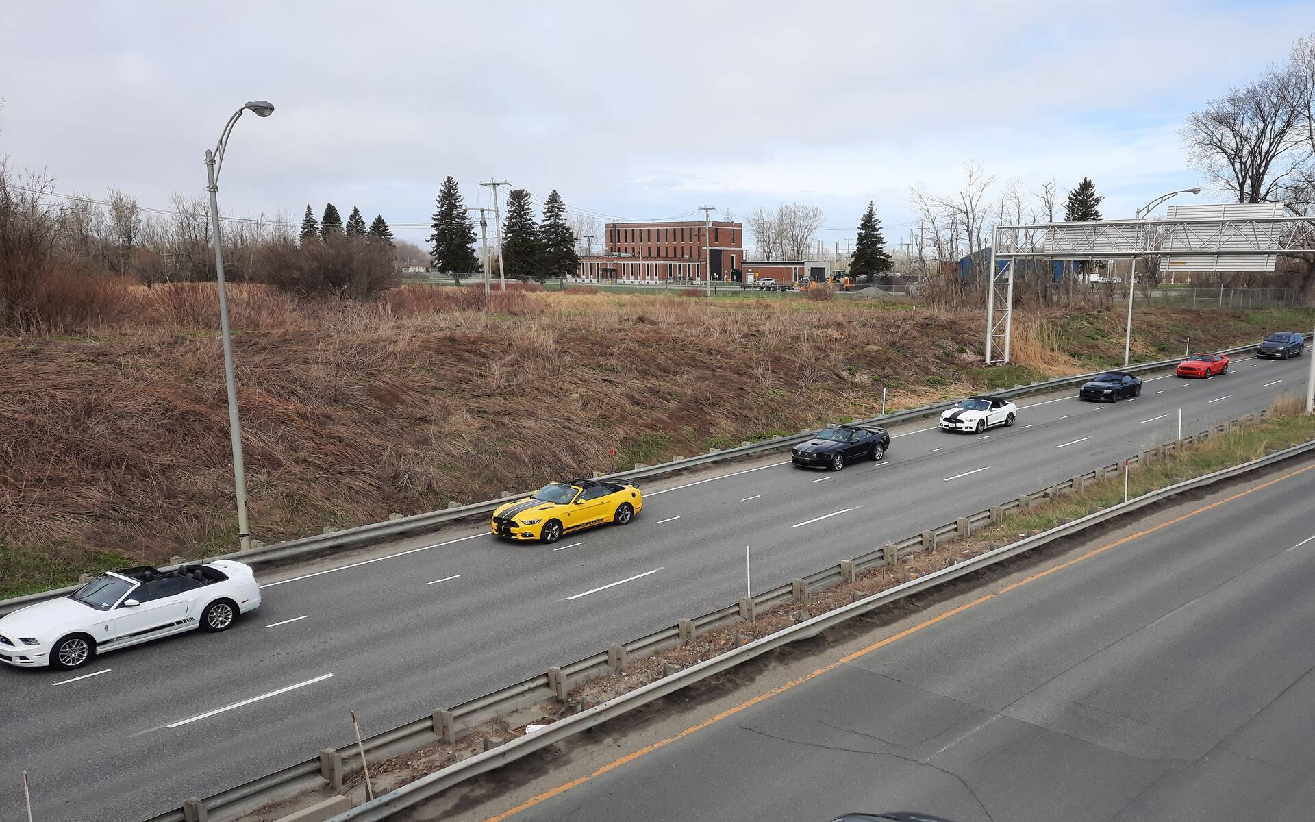 Les Québécois s’unissent pour le plus long convoi de Ford Mustang au monde 618116-les-quebecois-s-unissent-pour-le-plus-long-convoi-de-ford-mustang-au-monde