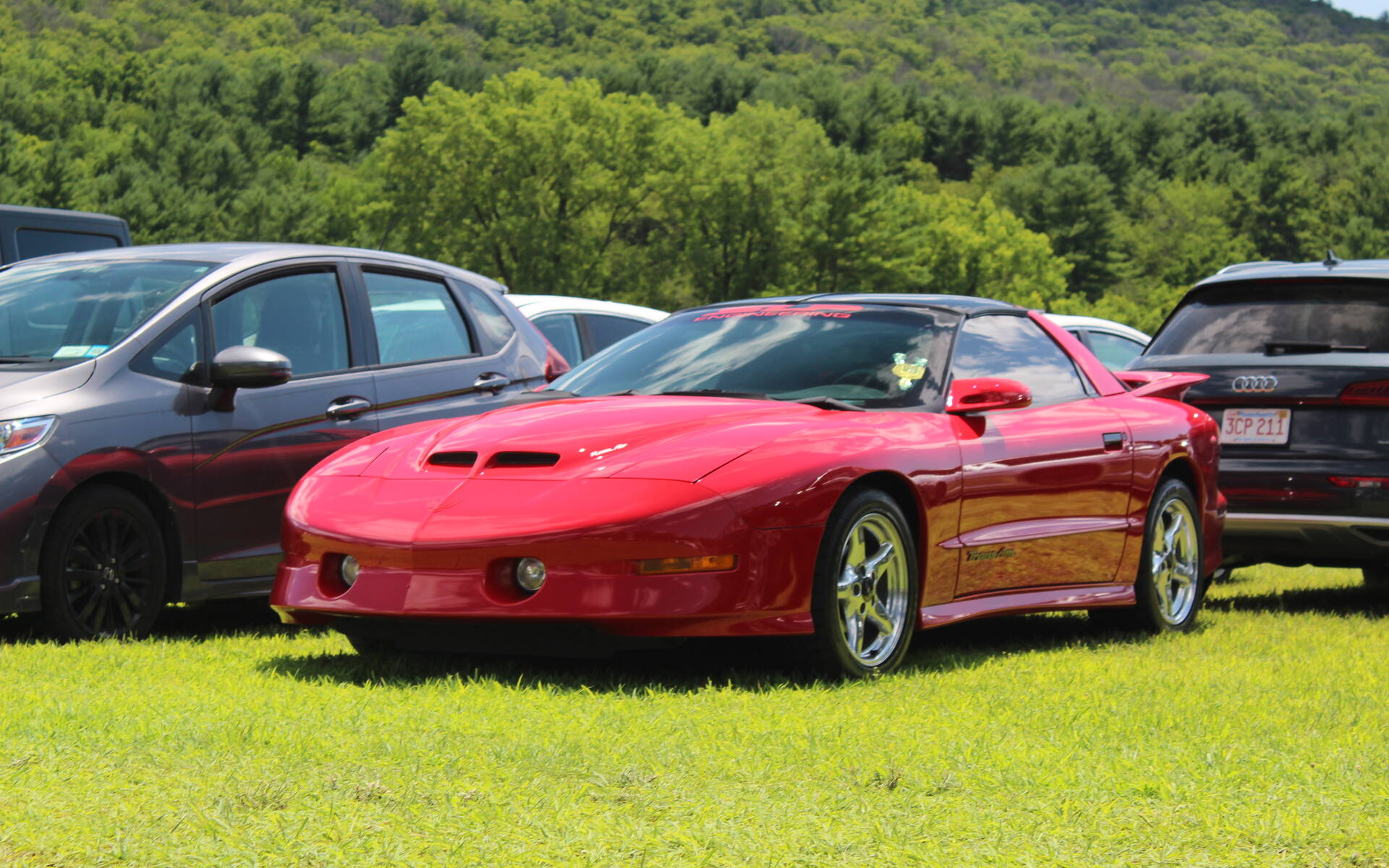 <p>Pontiac Firebird</p>