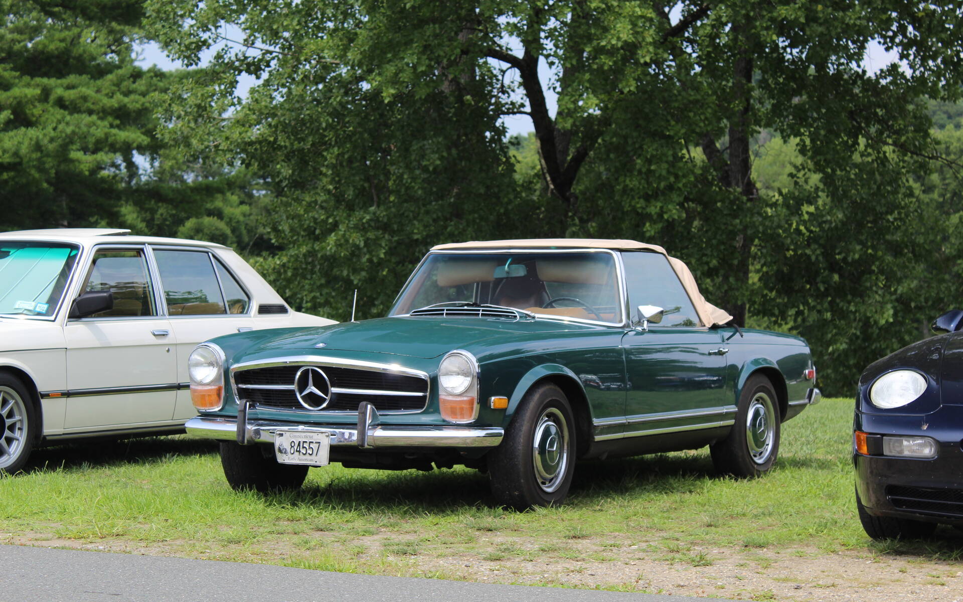 <p>Mercedes-Benz 230 SL</p>