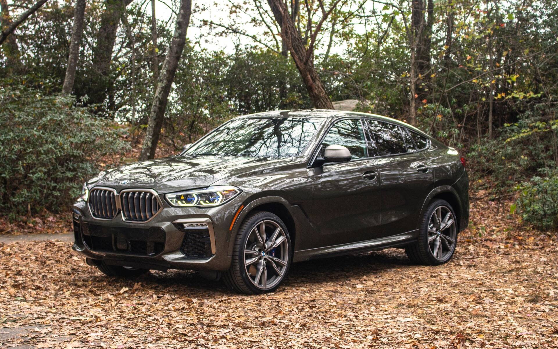 <p>BMW X6</p>