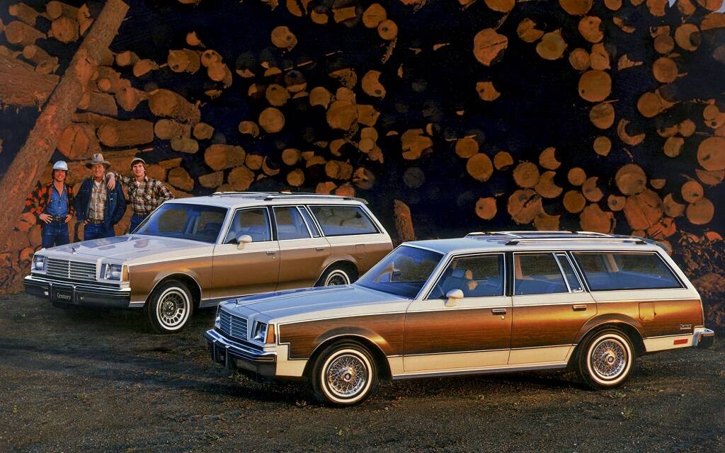 <p>Buick Century 1981</p>