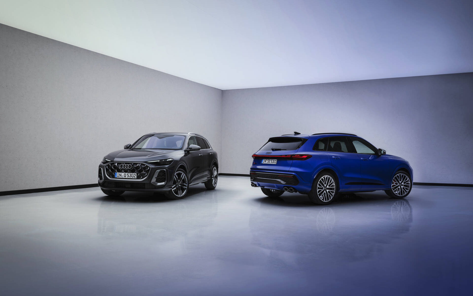 <p>Audi SQ5 and Q5</p>