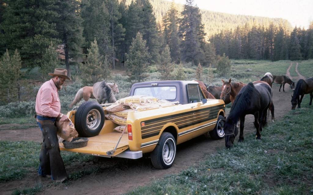 <p>International Harvester Scout II Terra 1976</p>