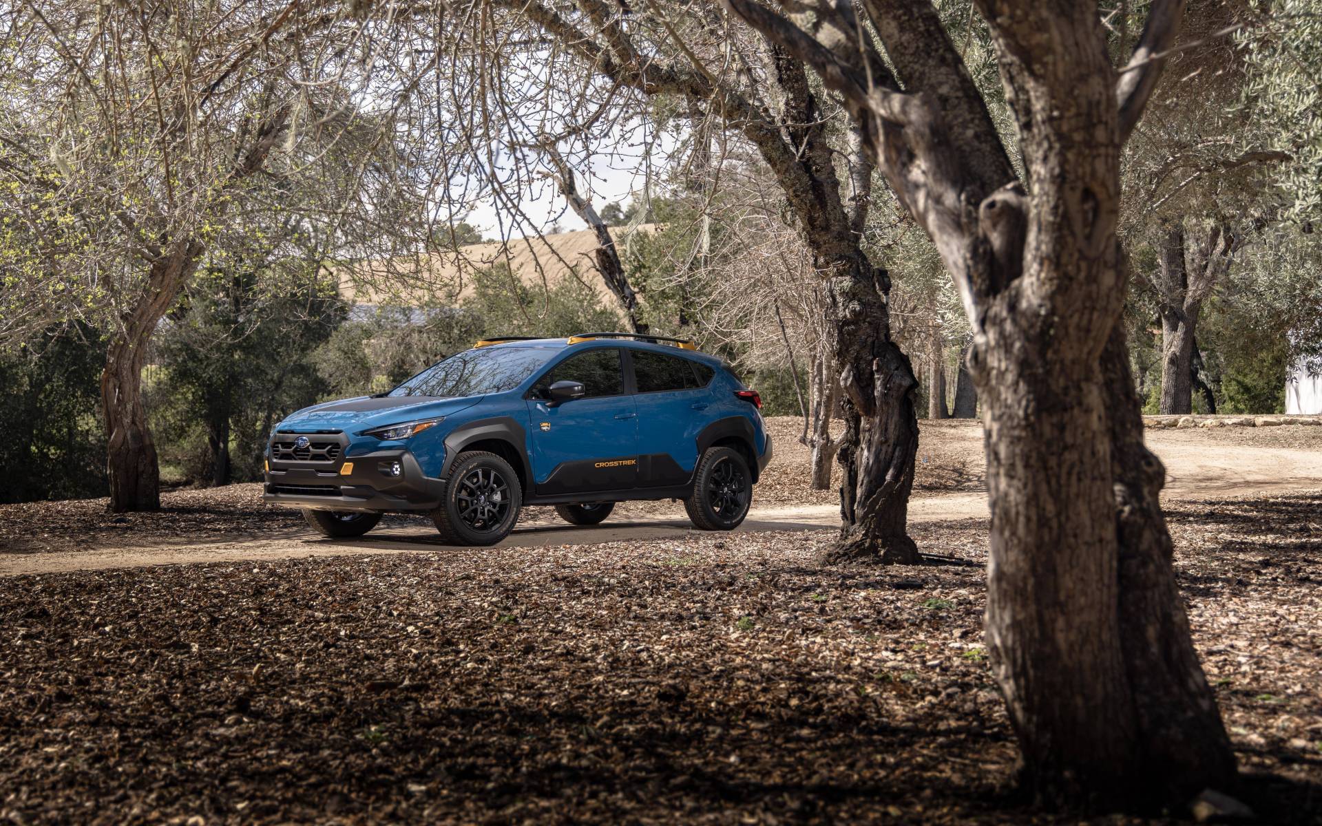 <p>Subaru Crosstrek Wilderness</p>
