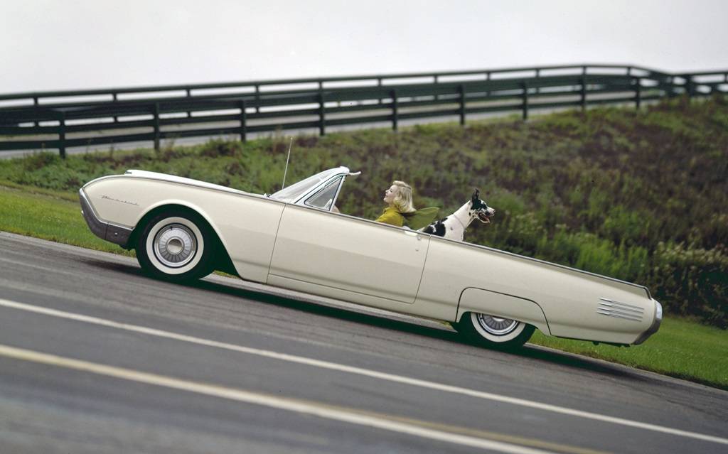 <p>Ford Thunderbird 1961</p>