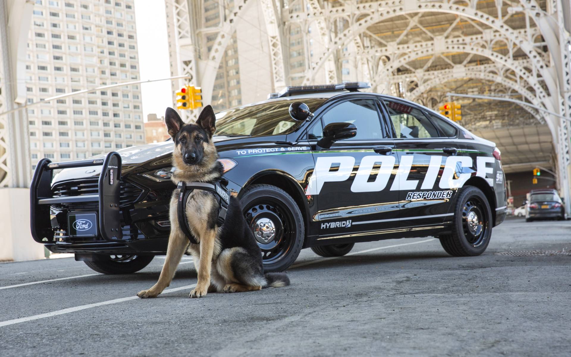 <p>2017 Ford Fusion Hybrid Police Responder</p>