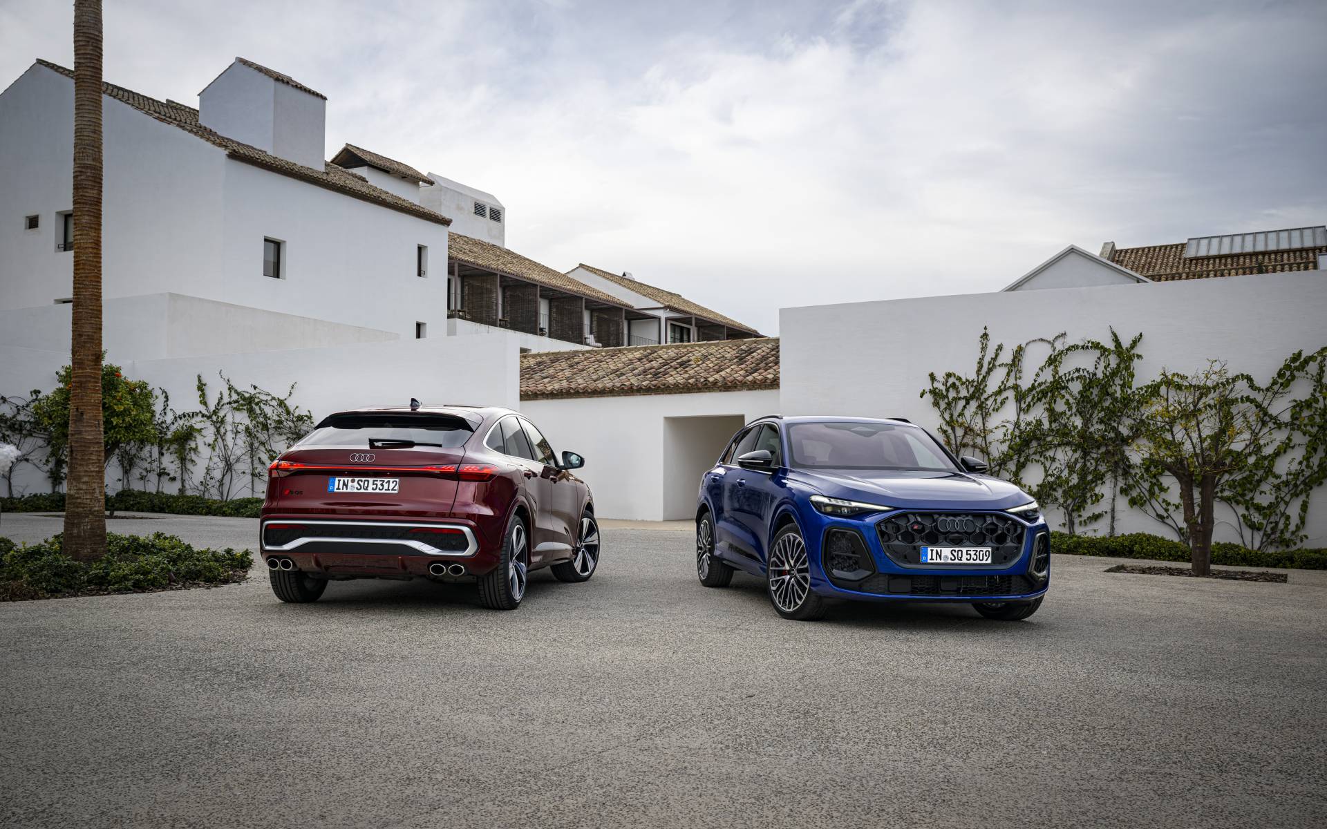 <p>Audi SQ5 2025</p>