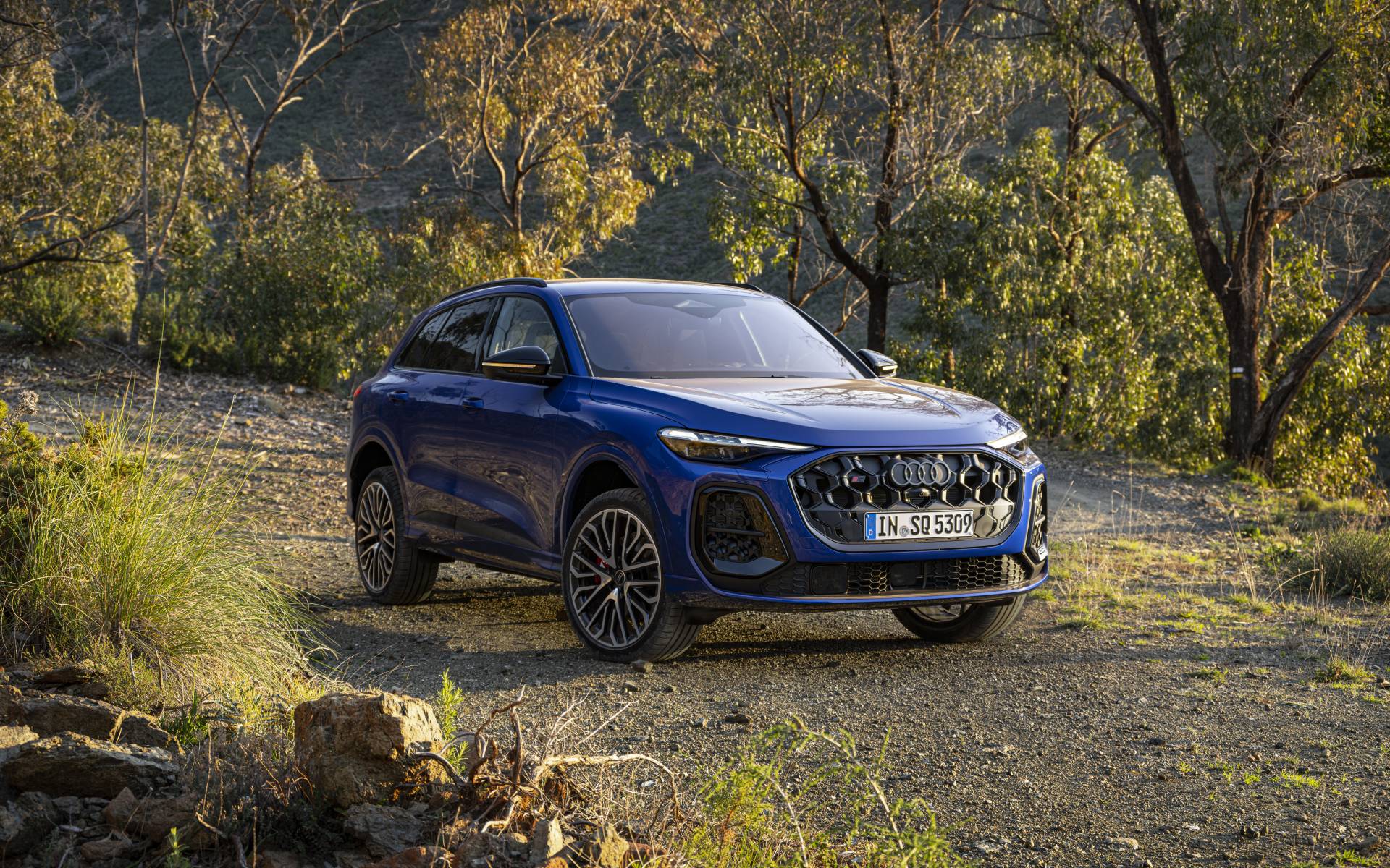 <p>Audi SQ5 2025</p>