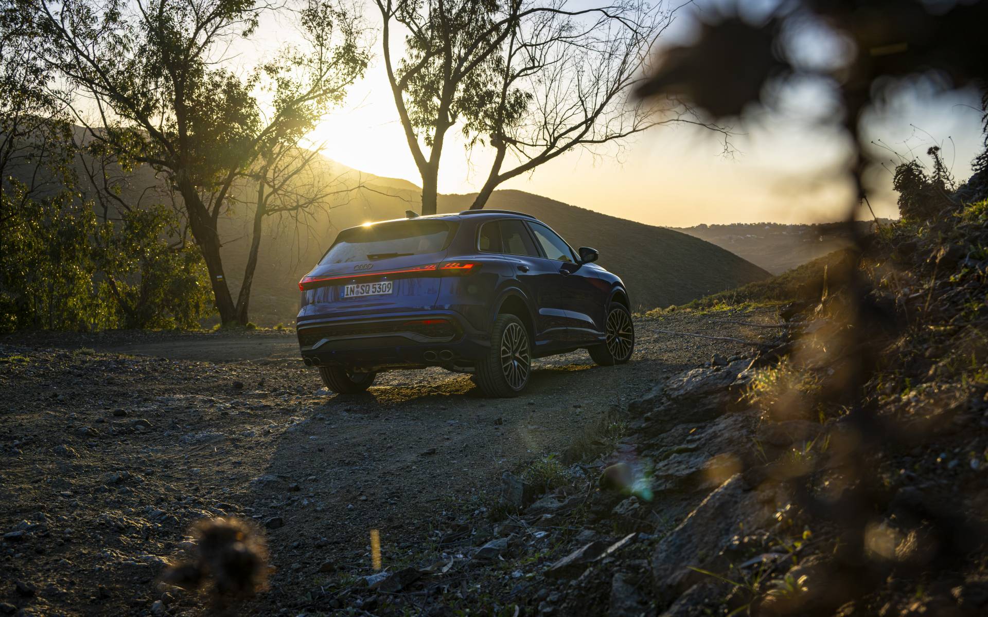 <p>Audi SQ5 2025</p>