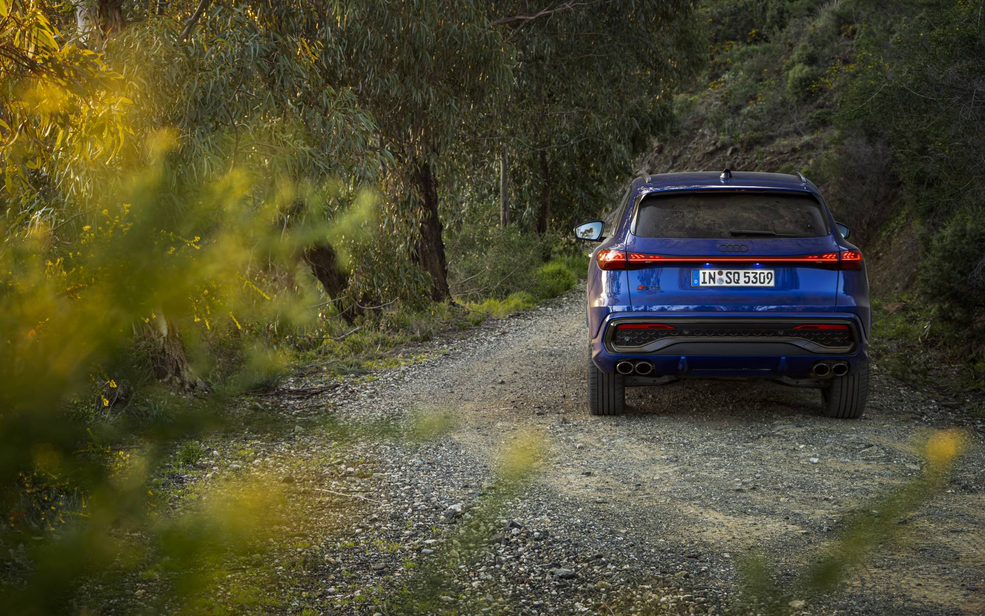 <p>Audi SQ5 2025</p>