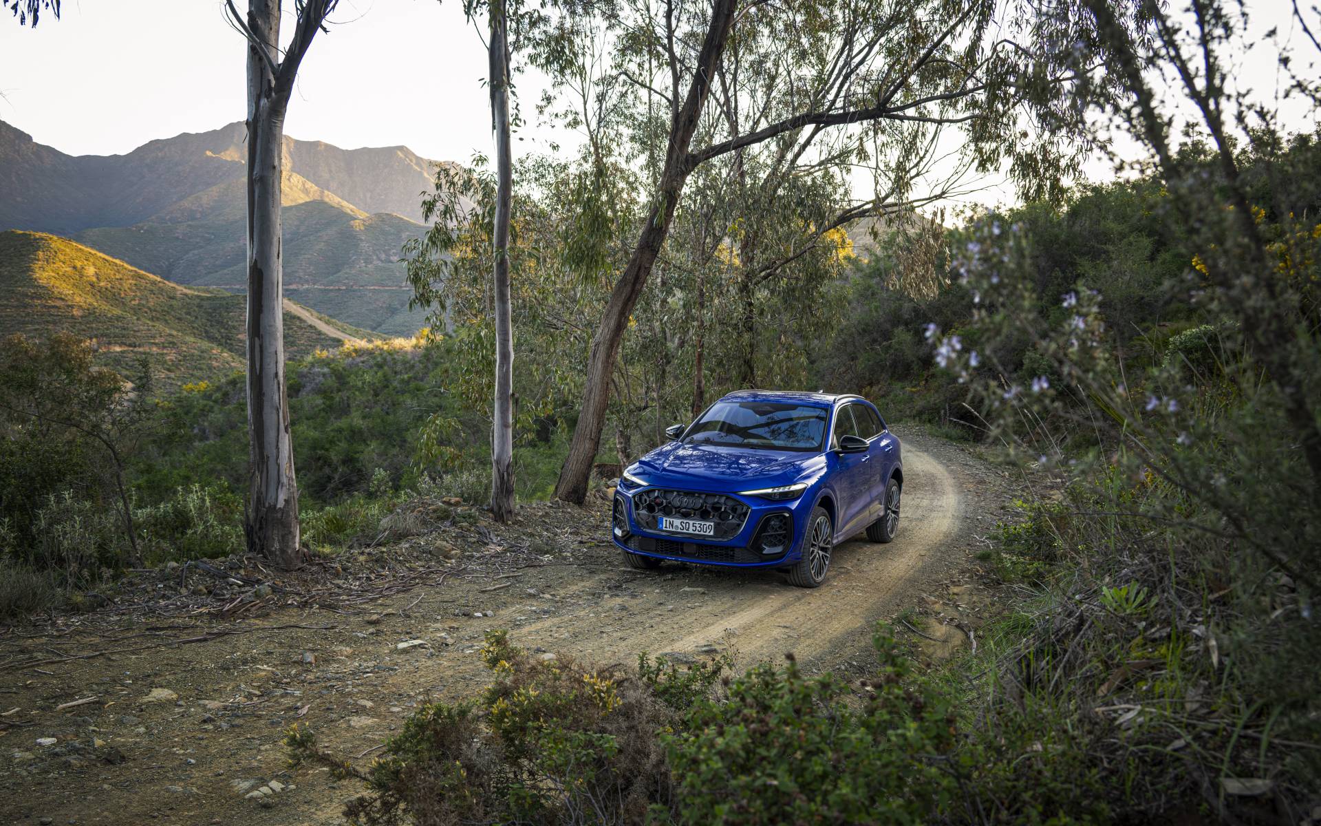 <p>Audi SQ5 2025</p>