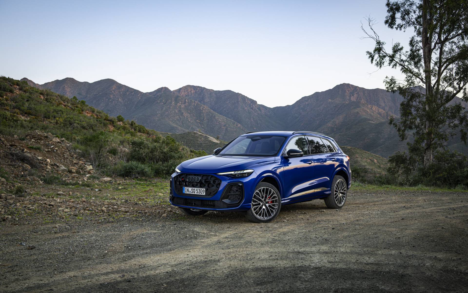 <p>Audi SQ5 2025</p>