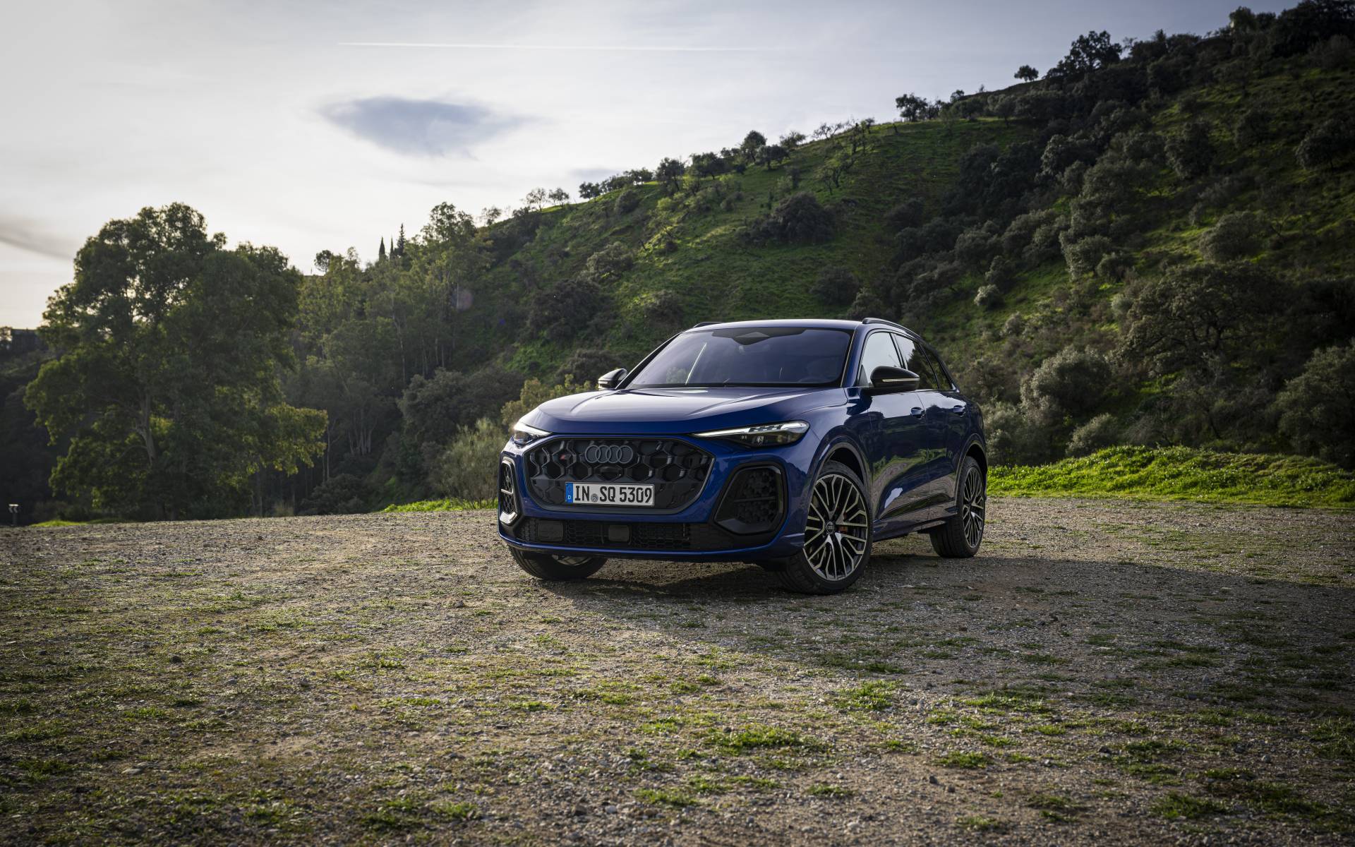 <p>Audi SQ5 2025</p>