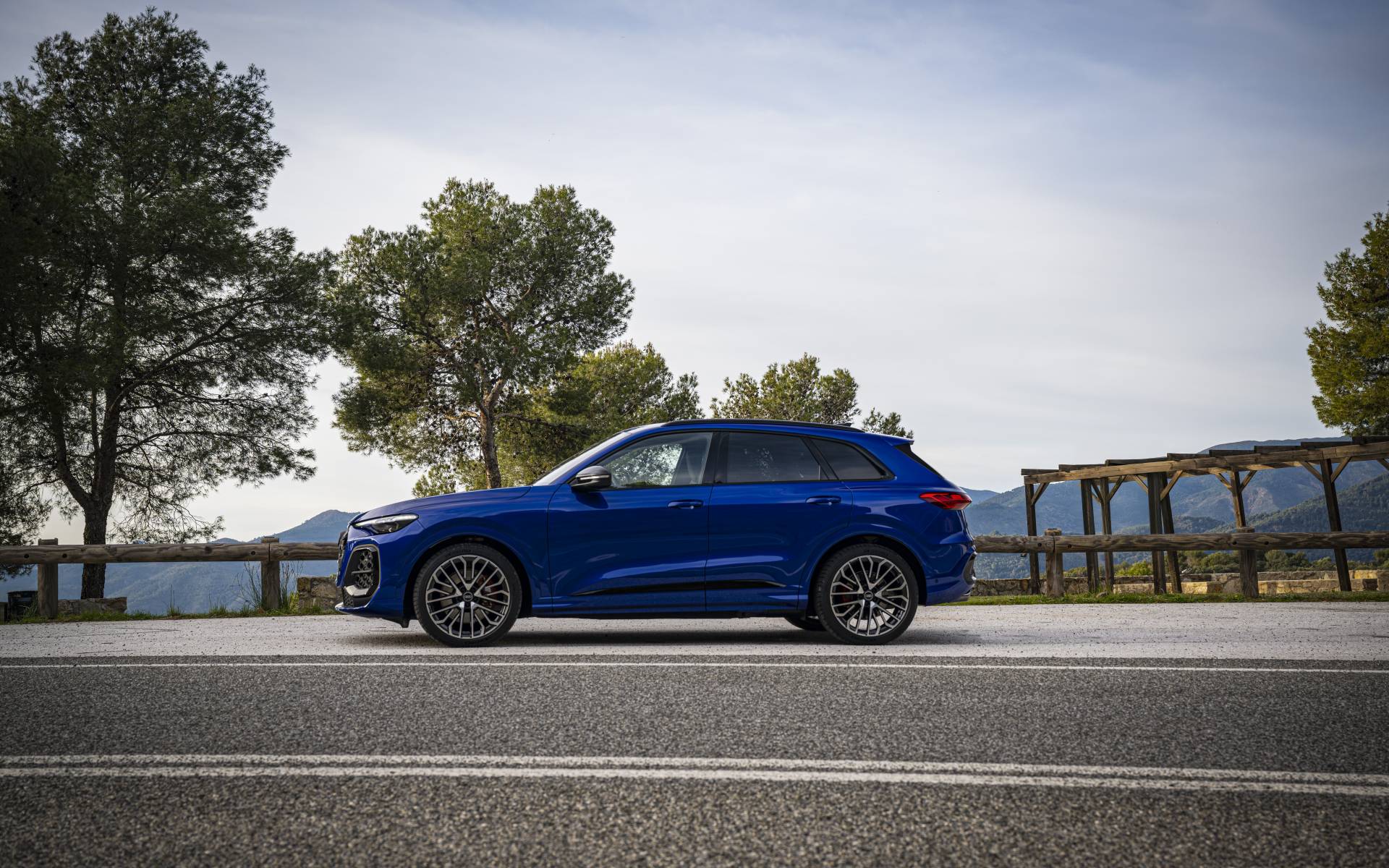 <p>Audi SQ5 2025</p>