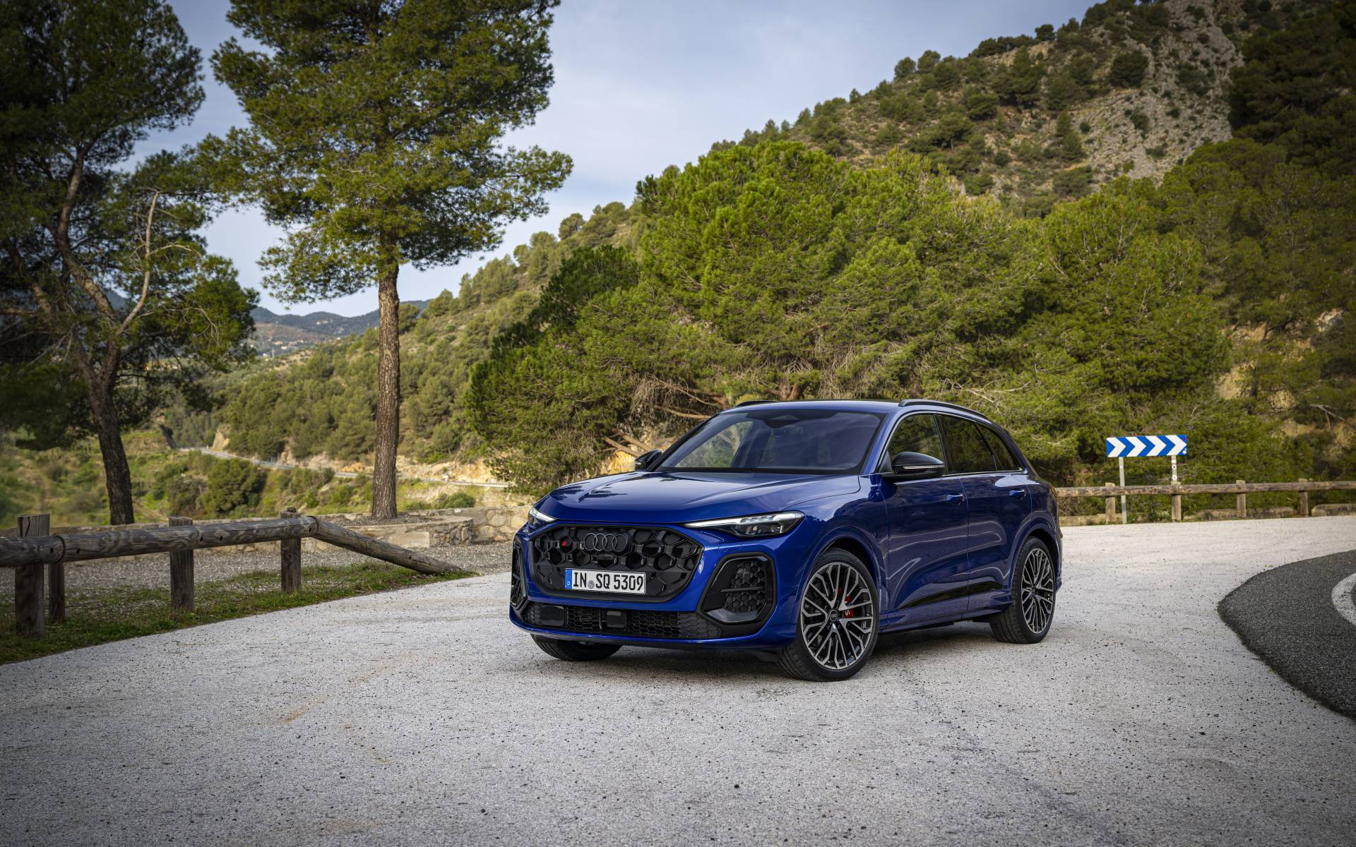 <p>Audi SQ5 2025</p>