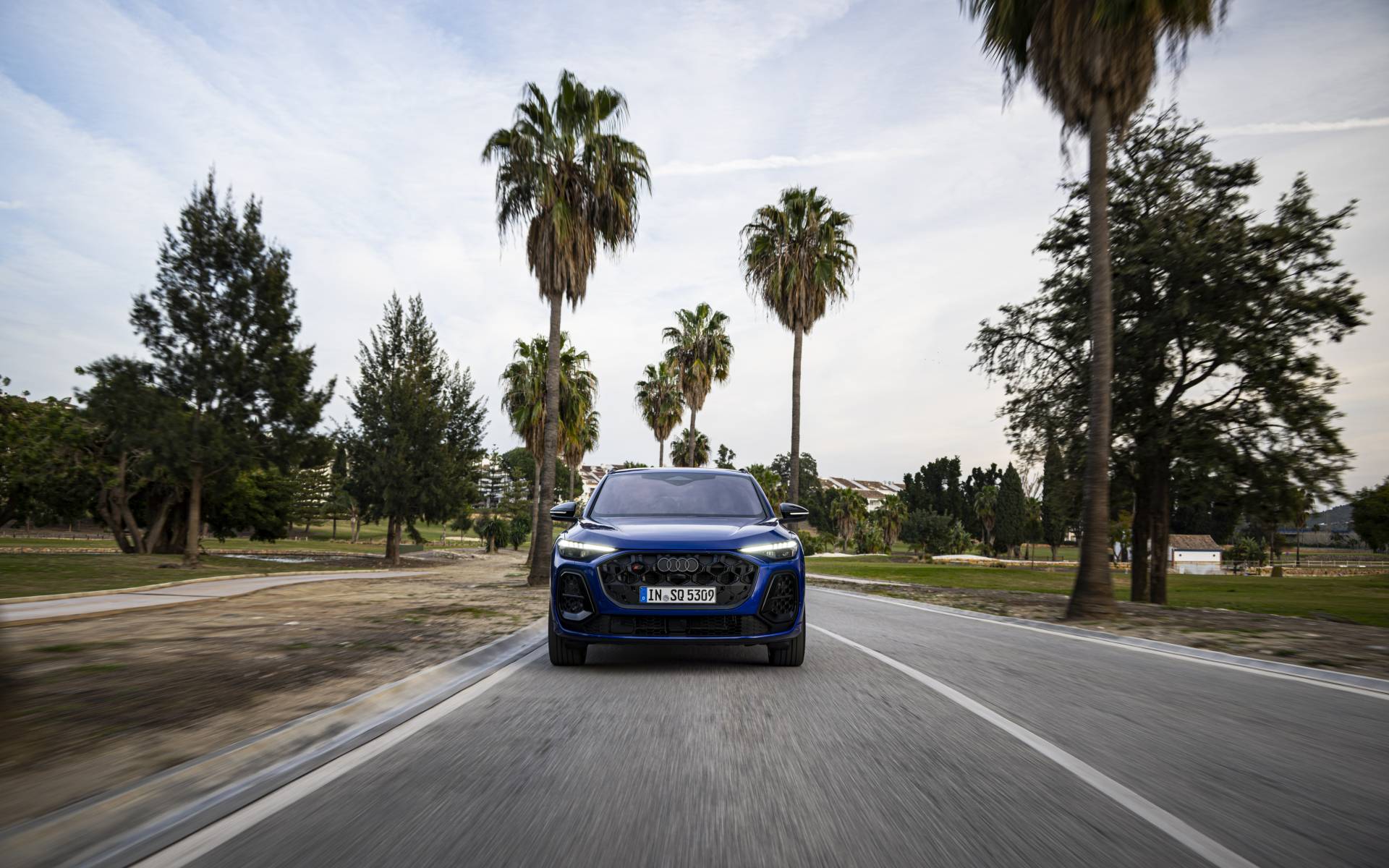 <p>Audi SQ5 2025</p>