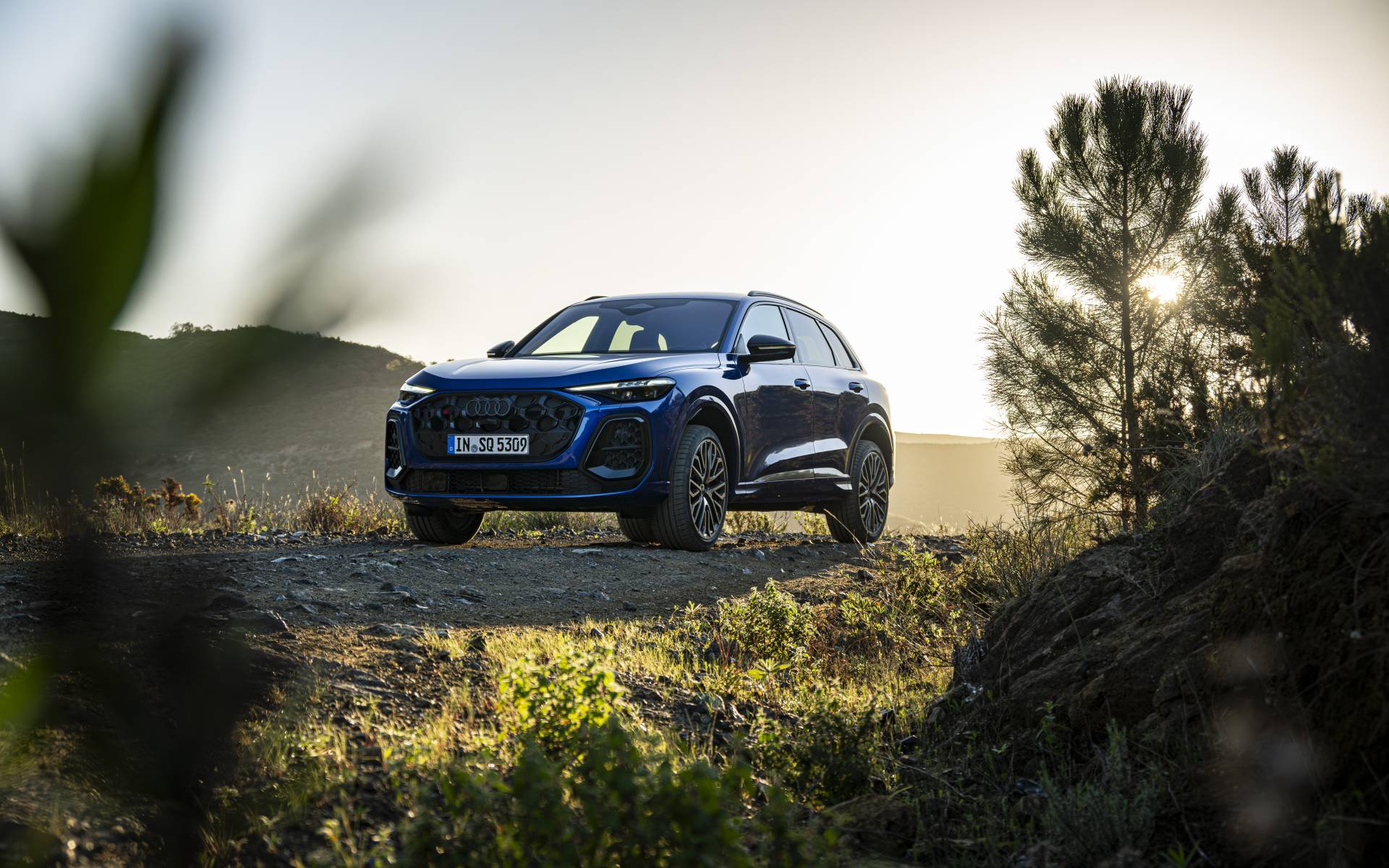 <p>Audi SQ5 2025</p>