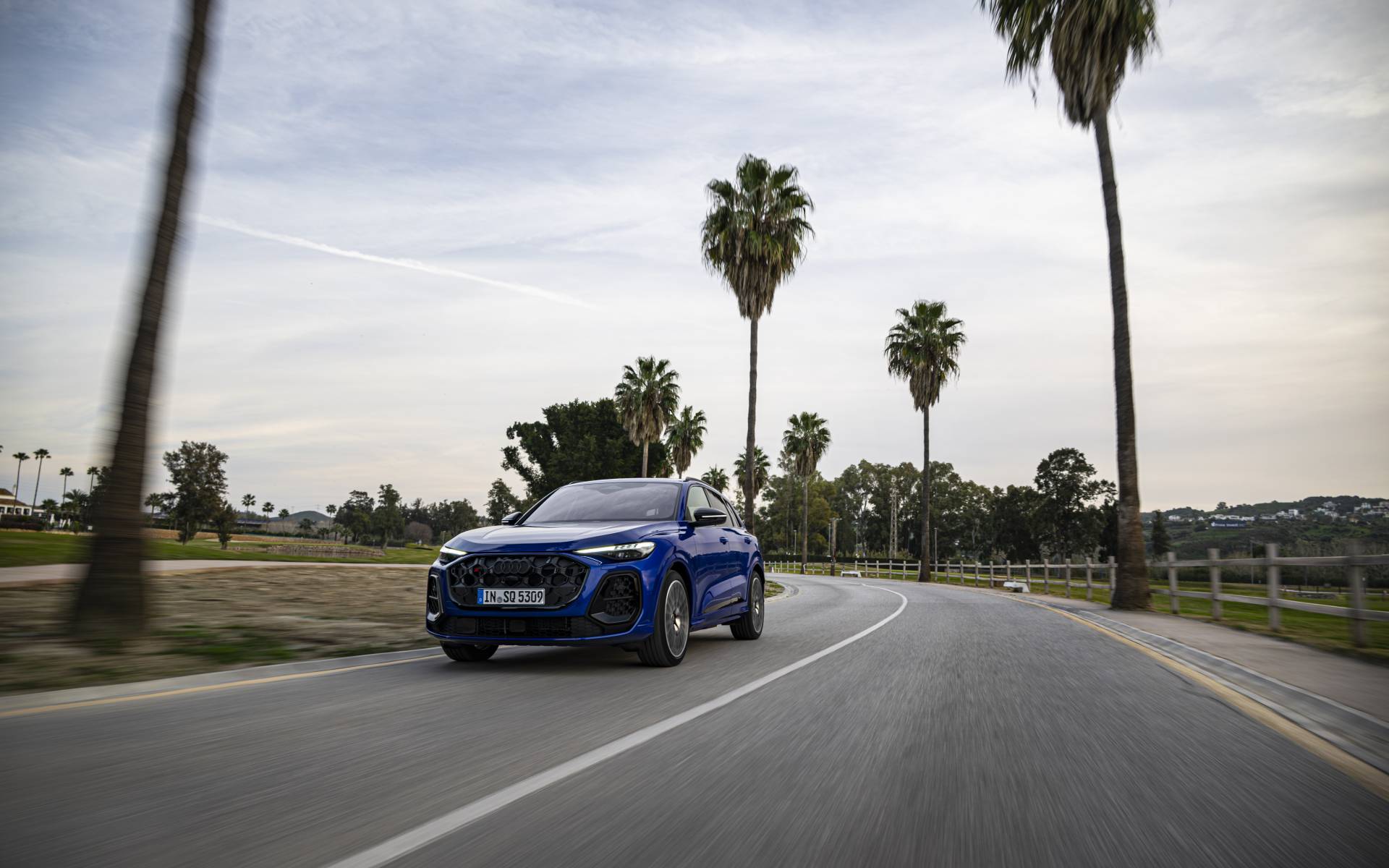 <p>Audi SQ5 2025</p>